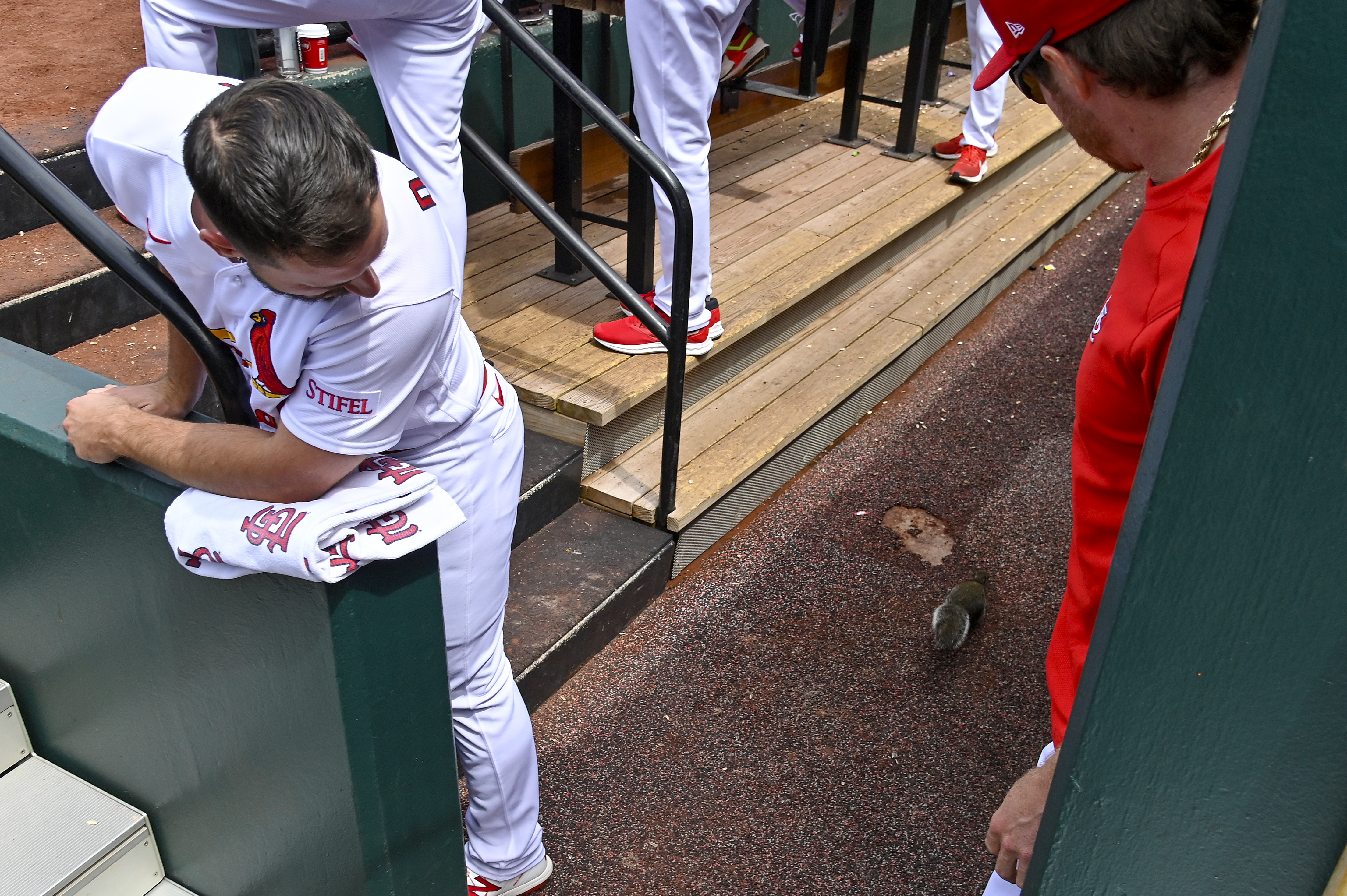 Phillies rally late to hand Angels 11th straight loss - ABC7 Los Angeles