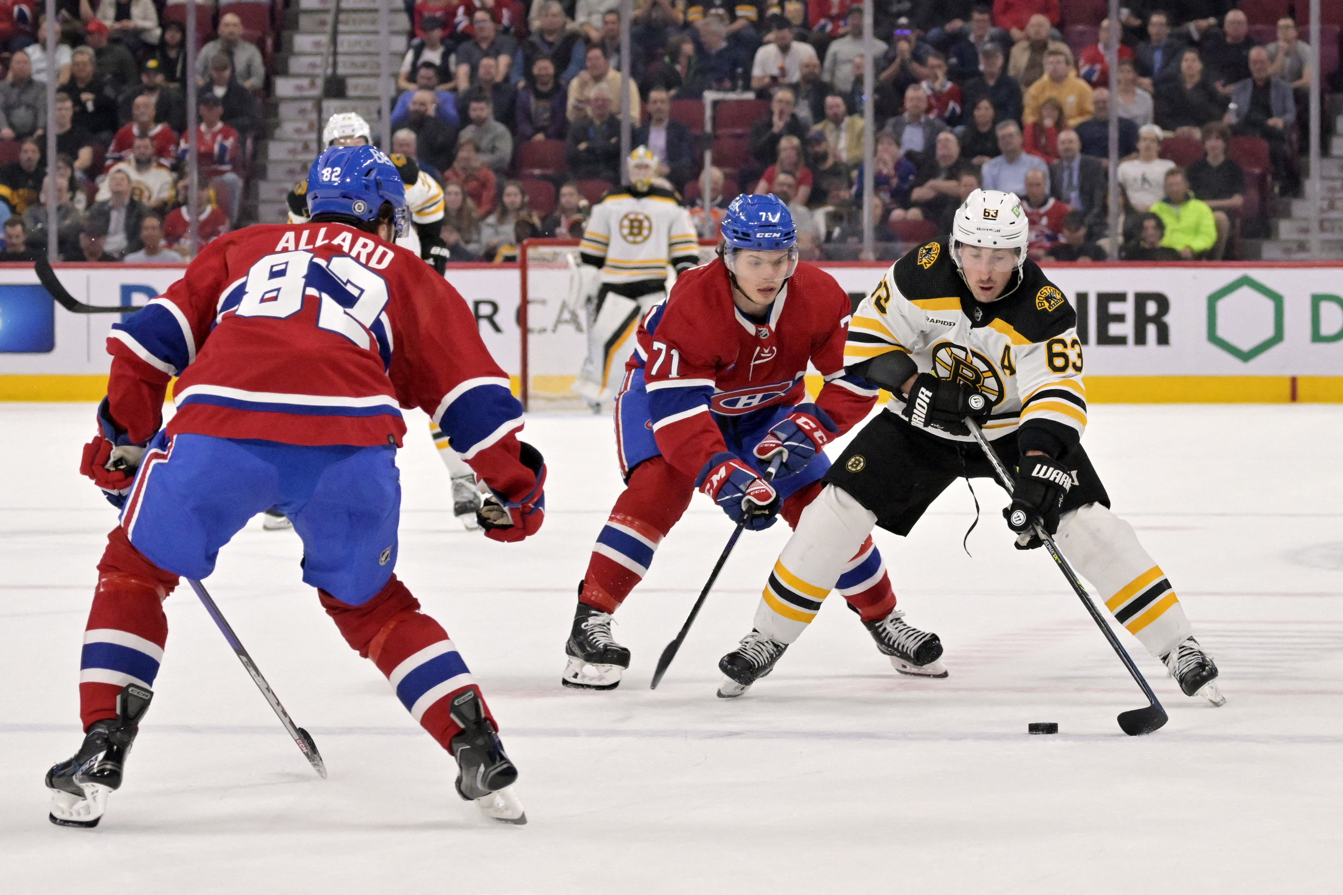 Boston Bruins NHL Single Season Wins Record Framed Photo