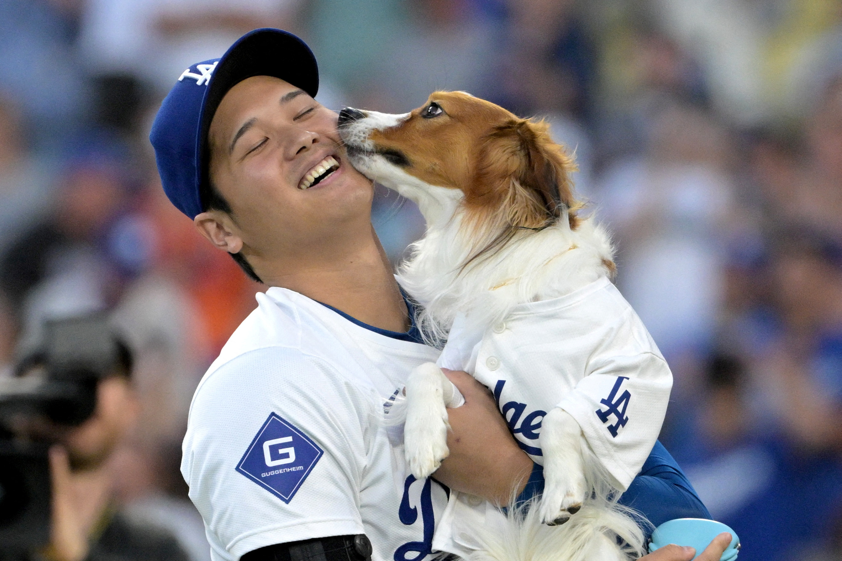 ＭＬＢ＝大谷が愛犬デコピン主役の絵本を共同出版へ、動物保護支援 | ロイター