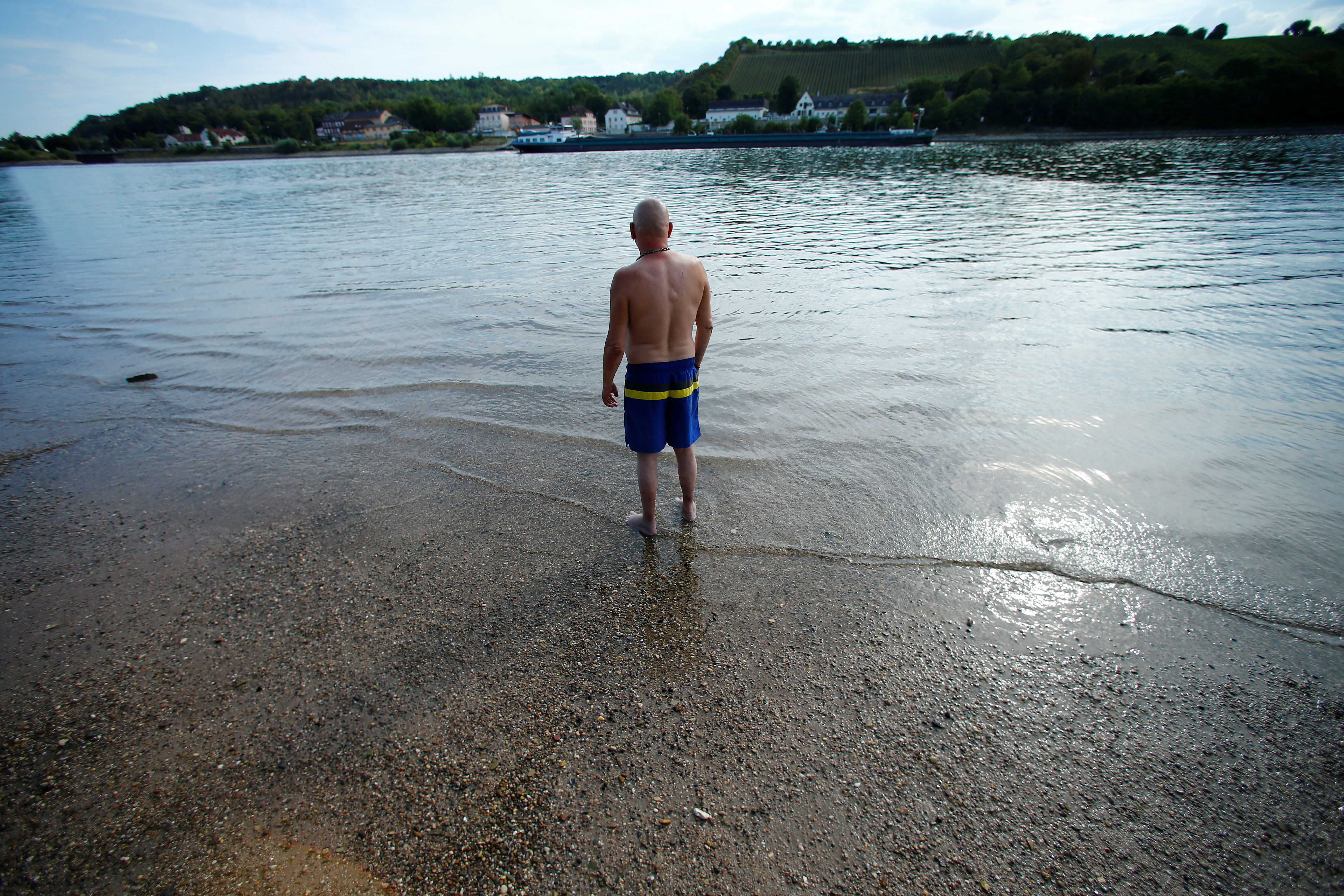 A man relaxes standing in the river Rhine near Geinsheim