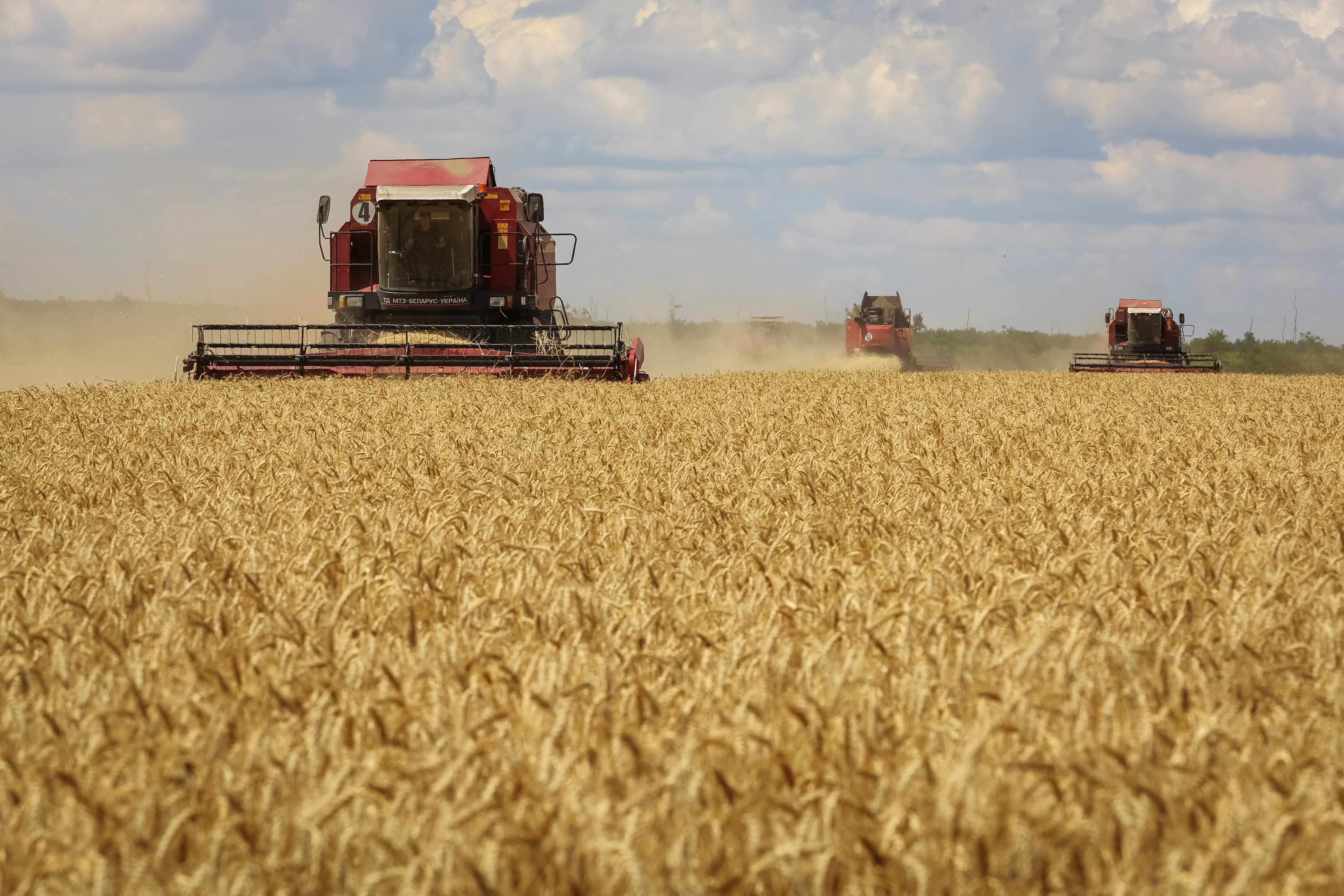 Farmers harvest wheat in Russian-held part of Ukraine's Zaporizhzhia region