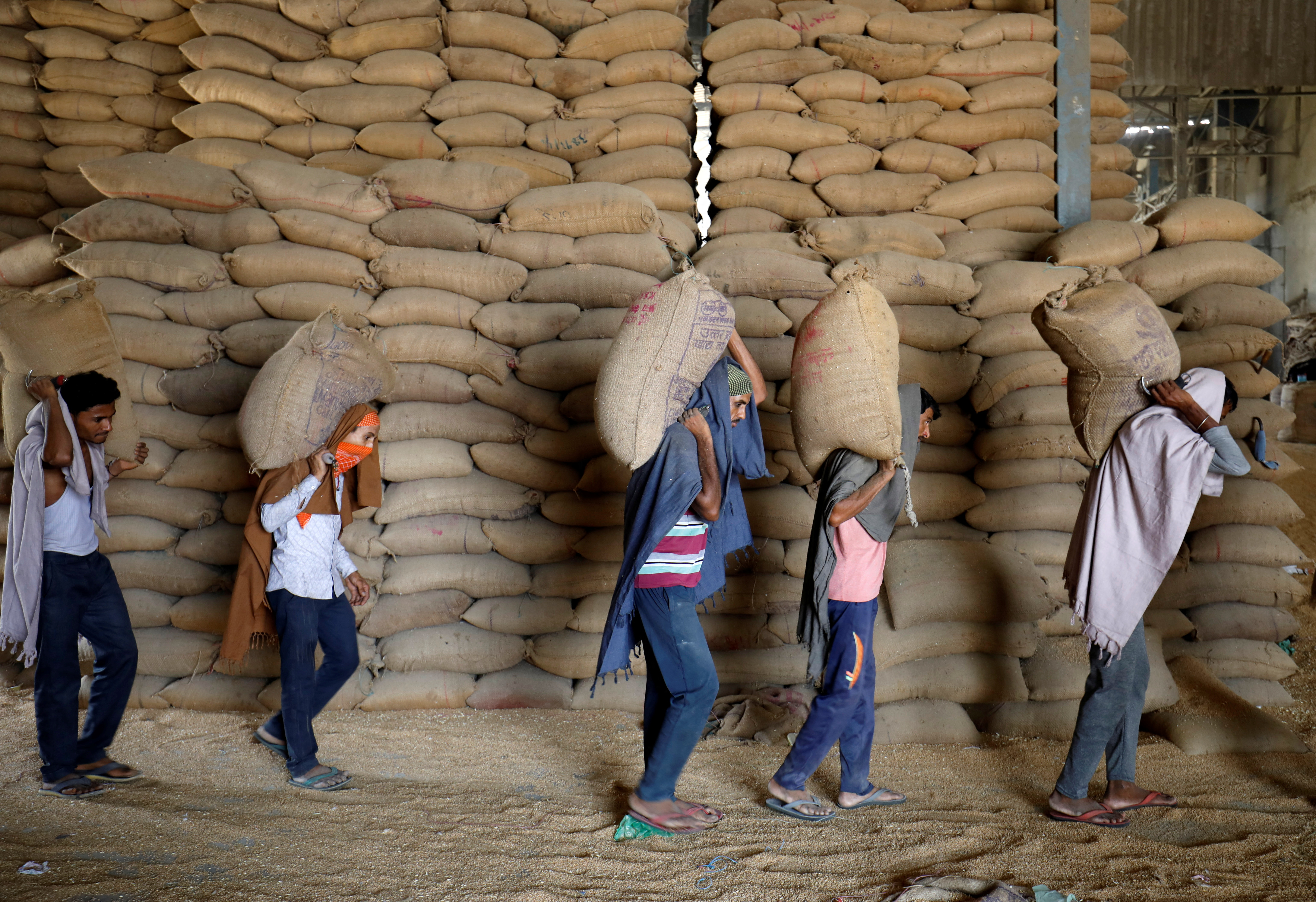 Workers carry sacks of wheat for sifting at a grain mill on the outskirts of Ahmedabad