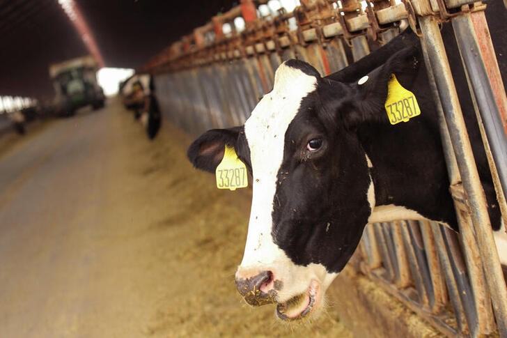 Vet IPO shrugs off animal-free trend | Reuters
