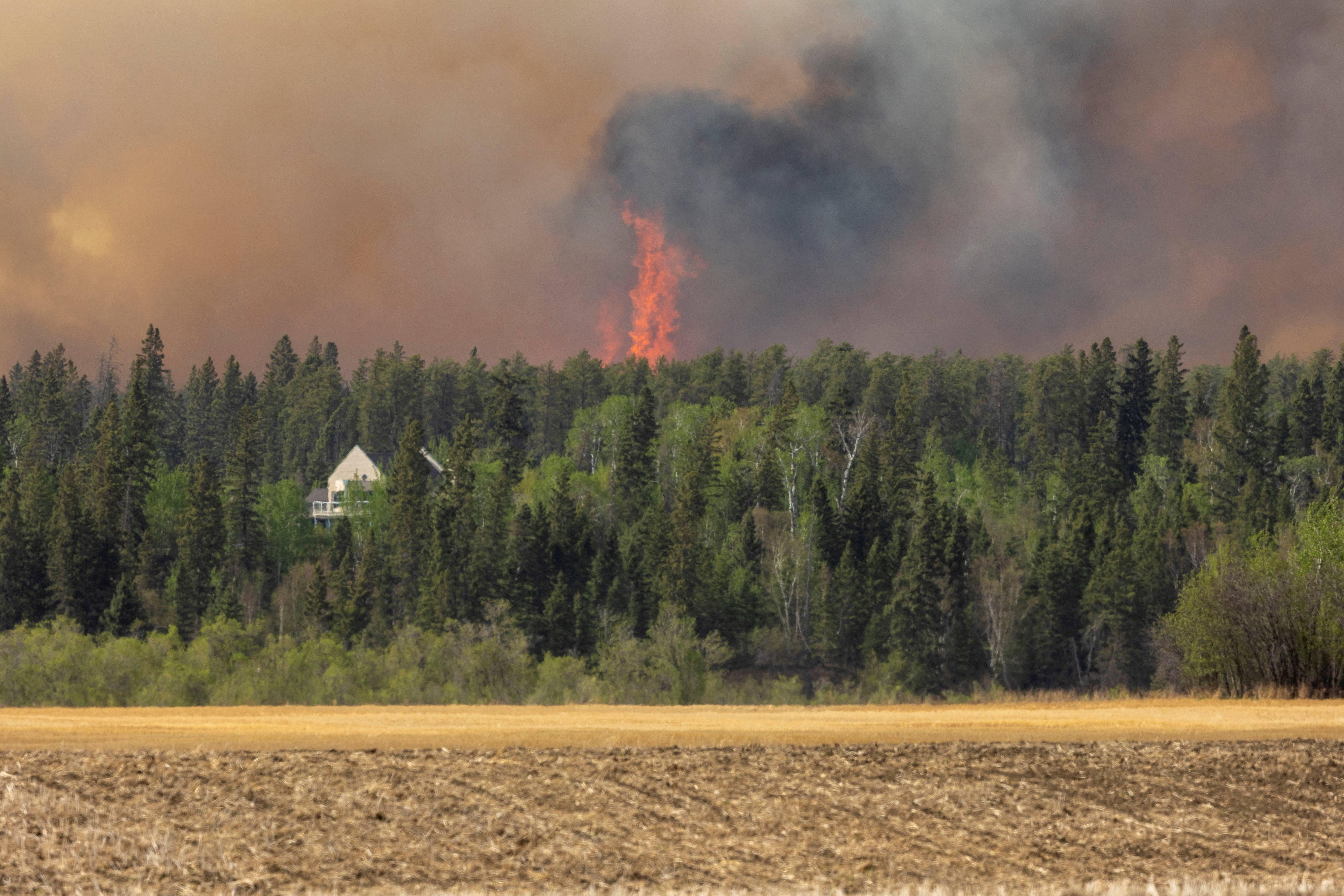 Prince Albert declares a state of emergency over a fast-moving wildfire