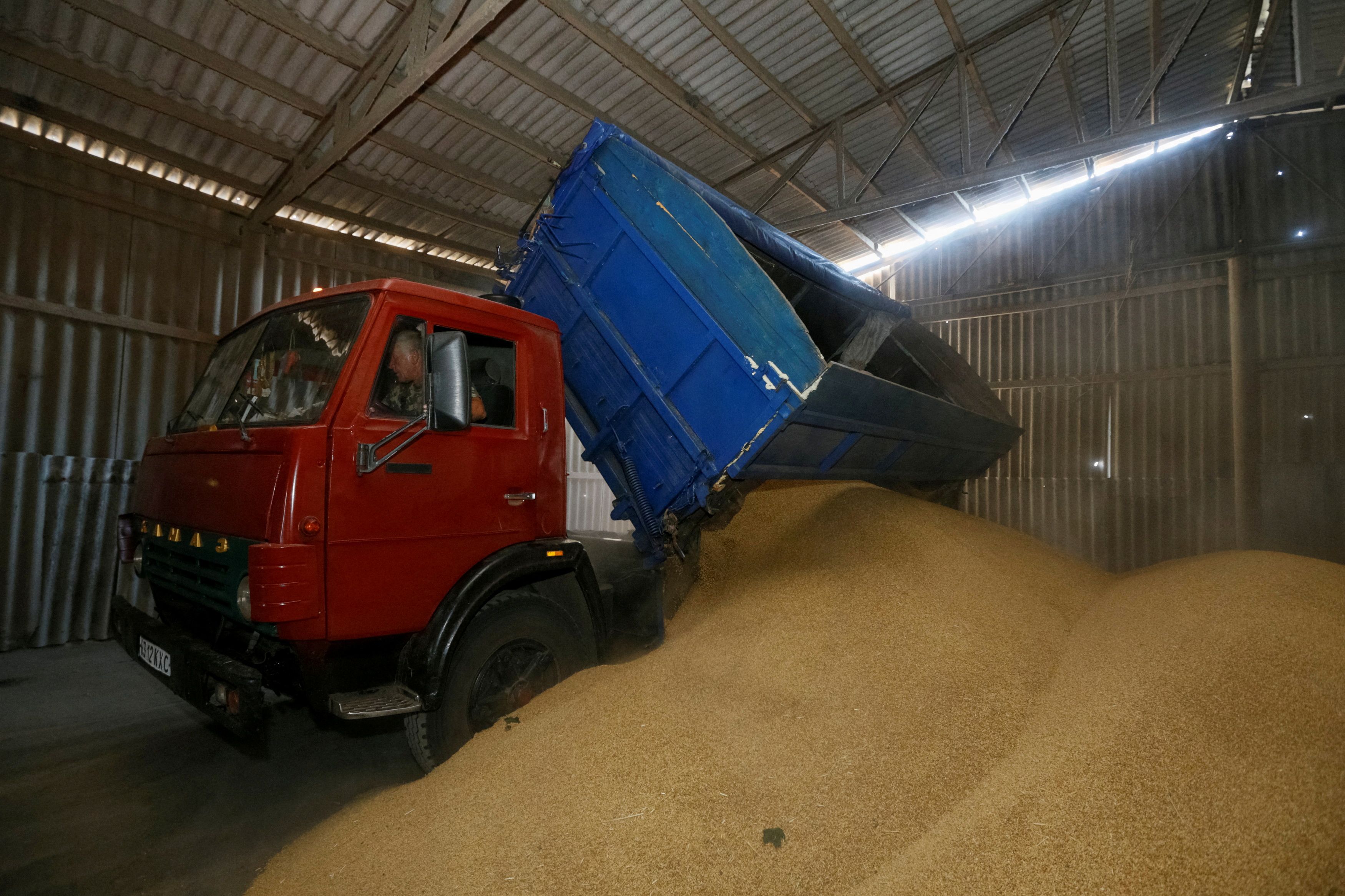 A truck unloads at a grain store during barley harvesting in the Kiev region in 2016