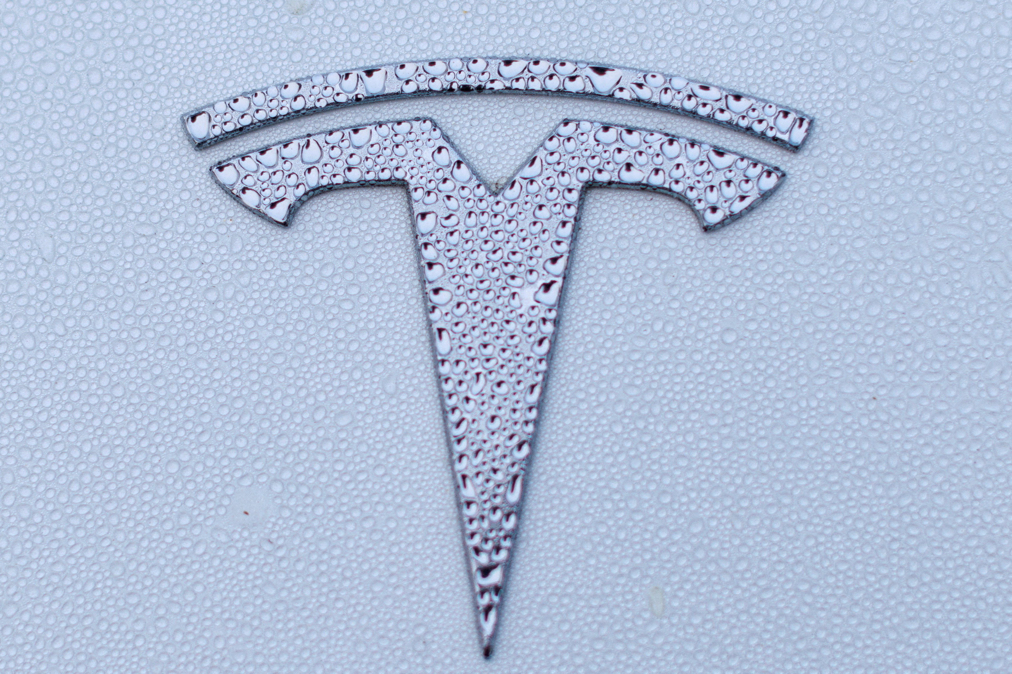 Tesla logo shown on Model Y vehicle in California