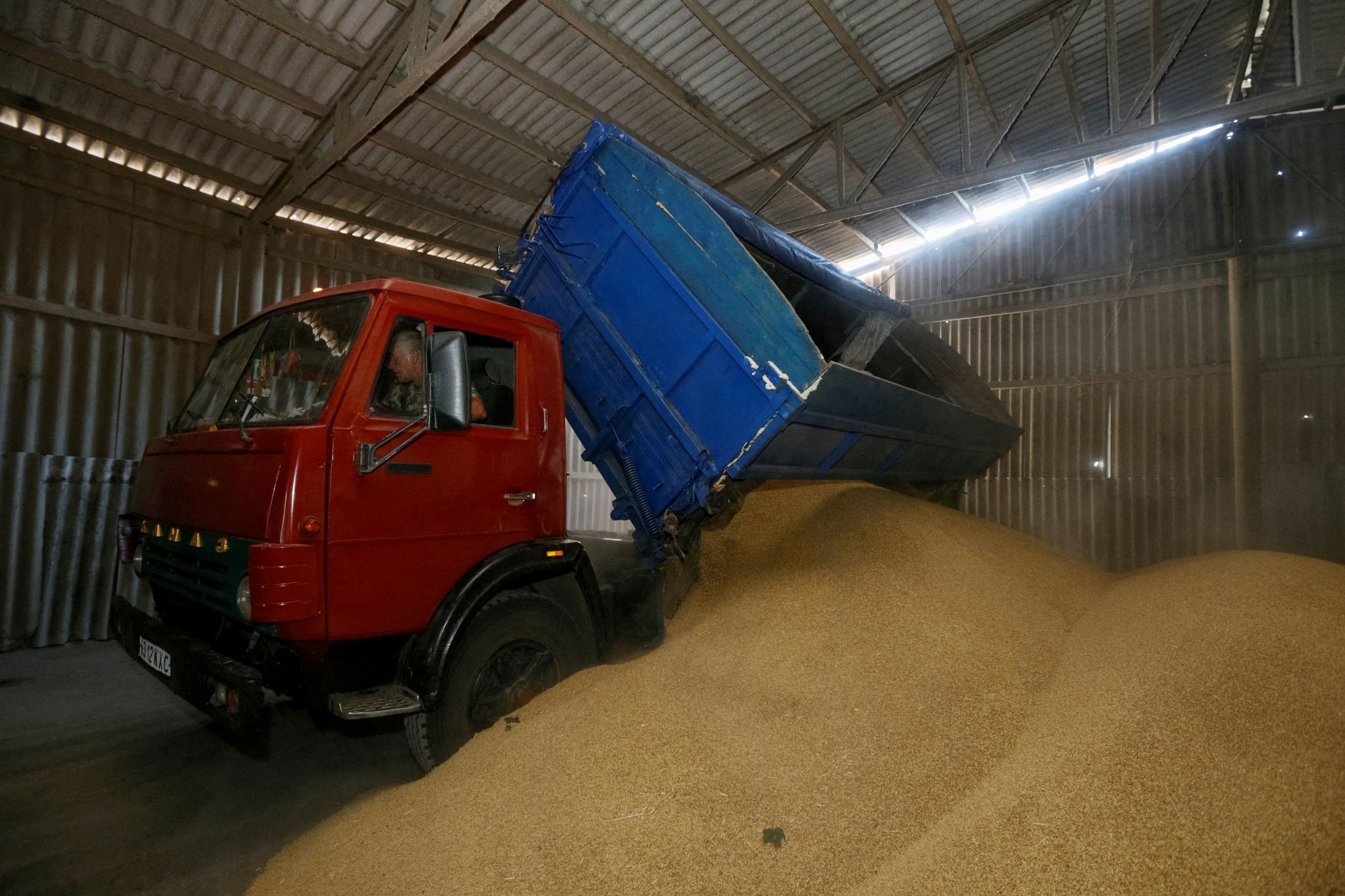 A truck unloads at a grain store during barley harvesting in the Kiev region