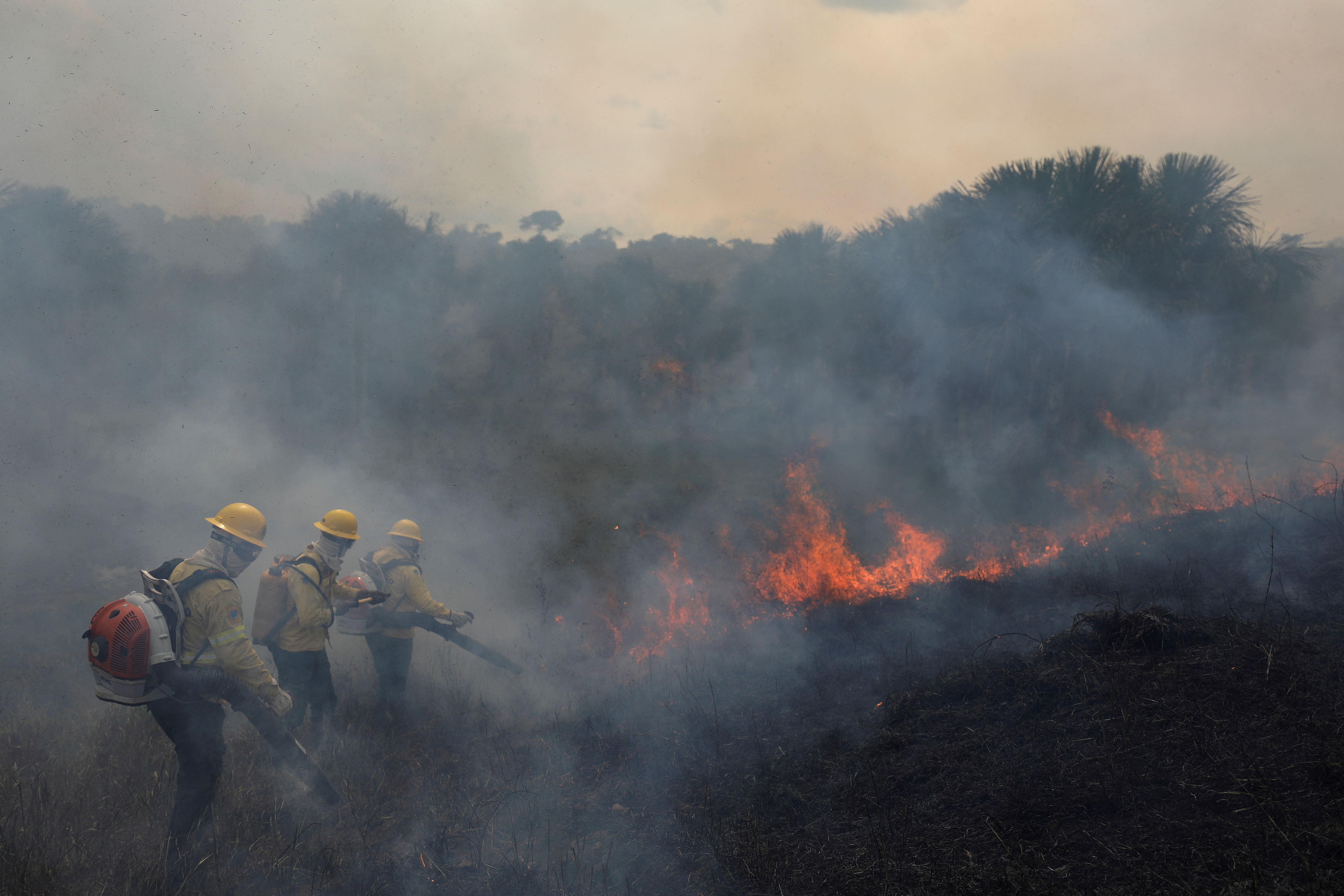 Fires surge in Brazilian Amazon for third straight year in August, in Apui