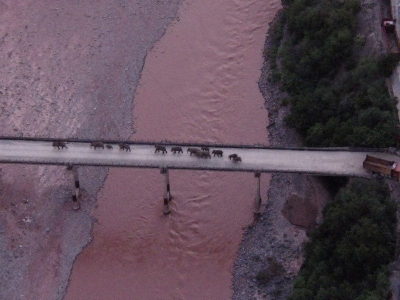 trek bridge road