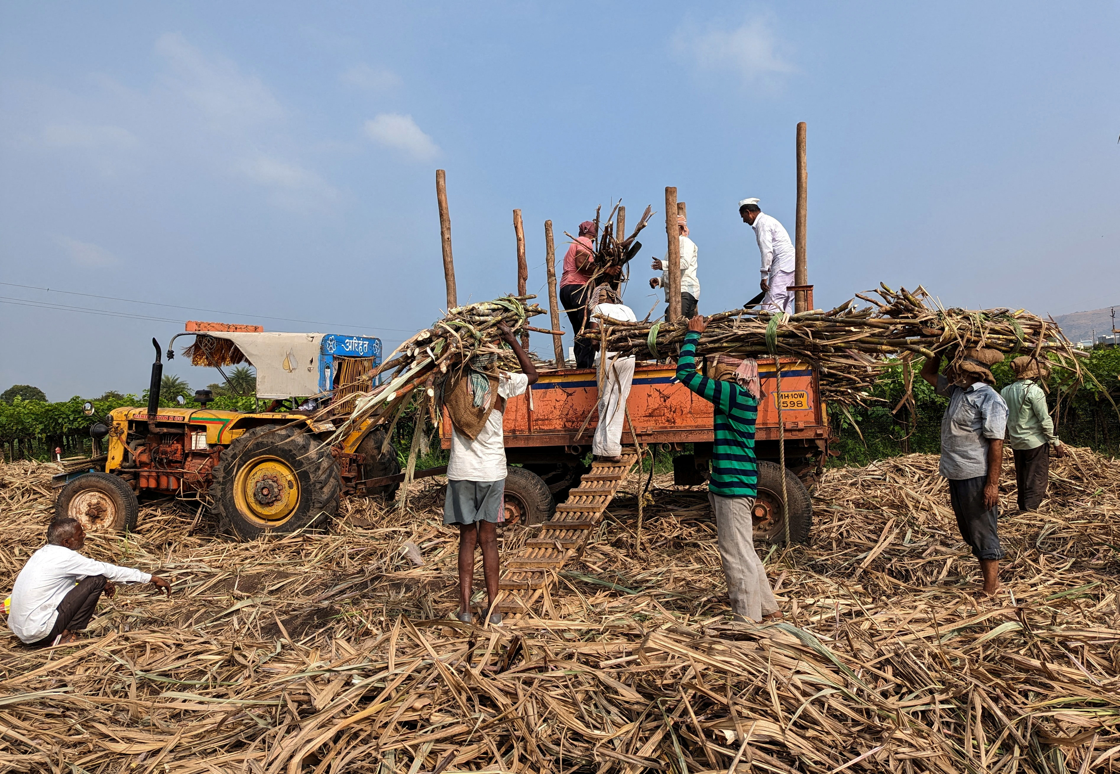 Indian sugar output down 20.20 yr on yr as cane yields fall, trade ...