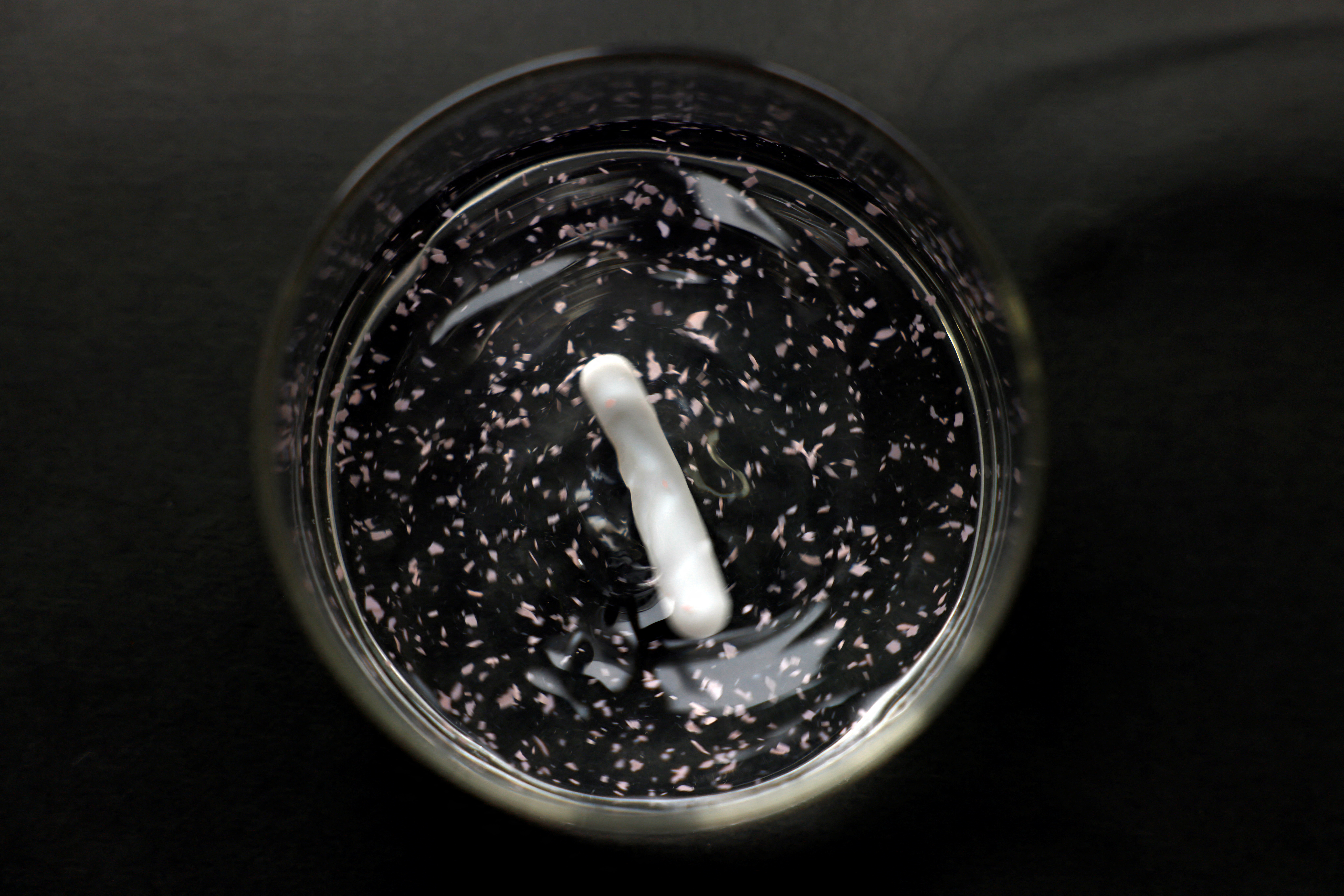 Scientists in Japan develop plastic that dissolves in seawater within hours | Reuters