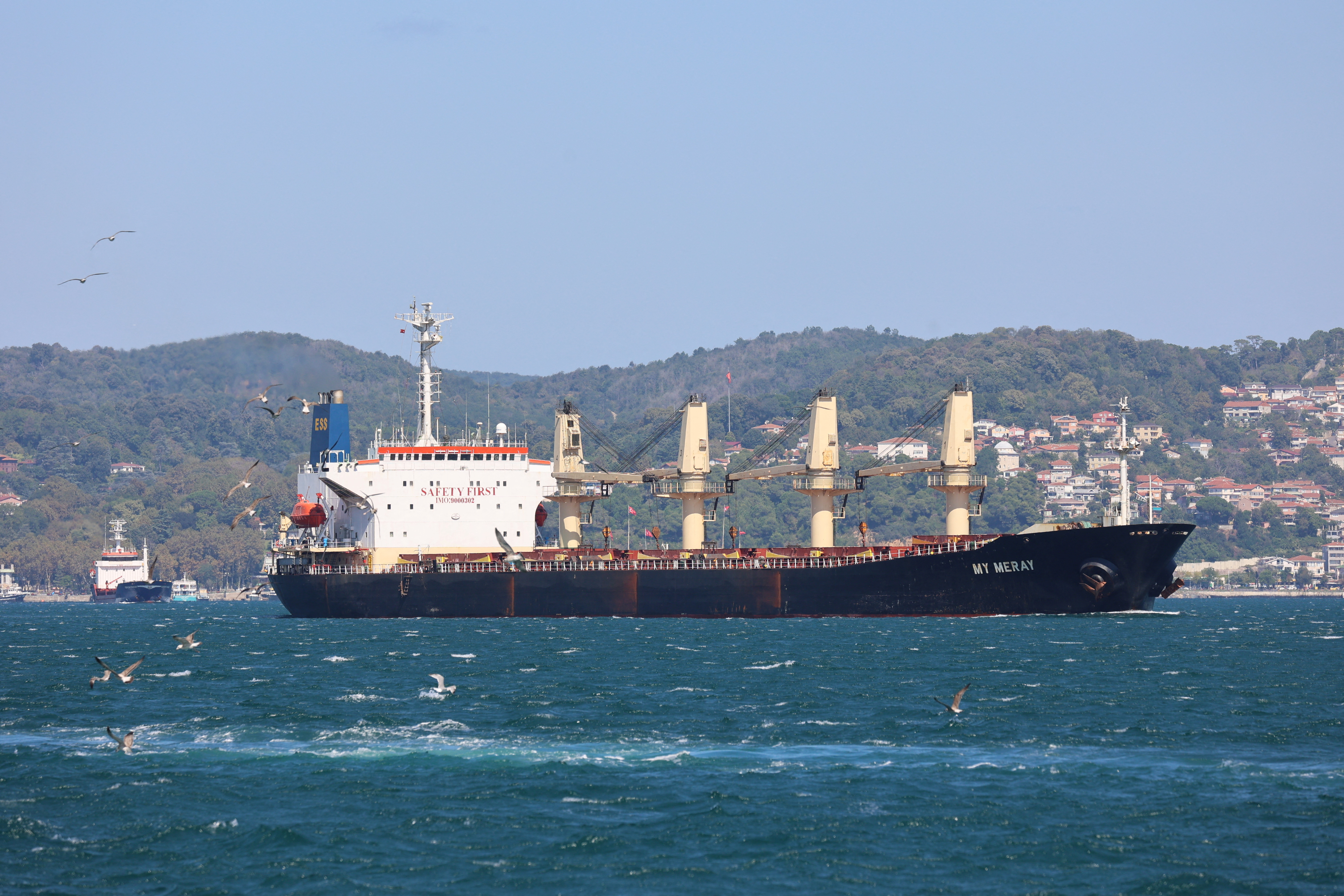 The Belize-flagged My Meray carrying Ukrainian grain sails in Istanbul's Bosphorus