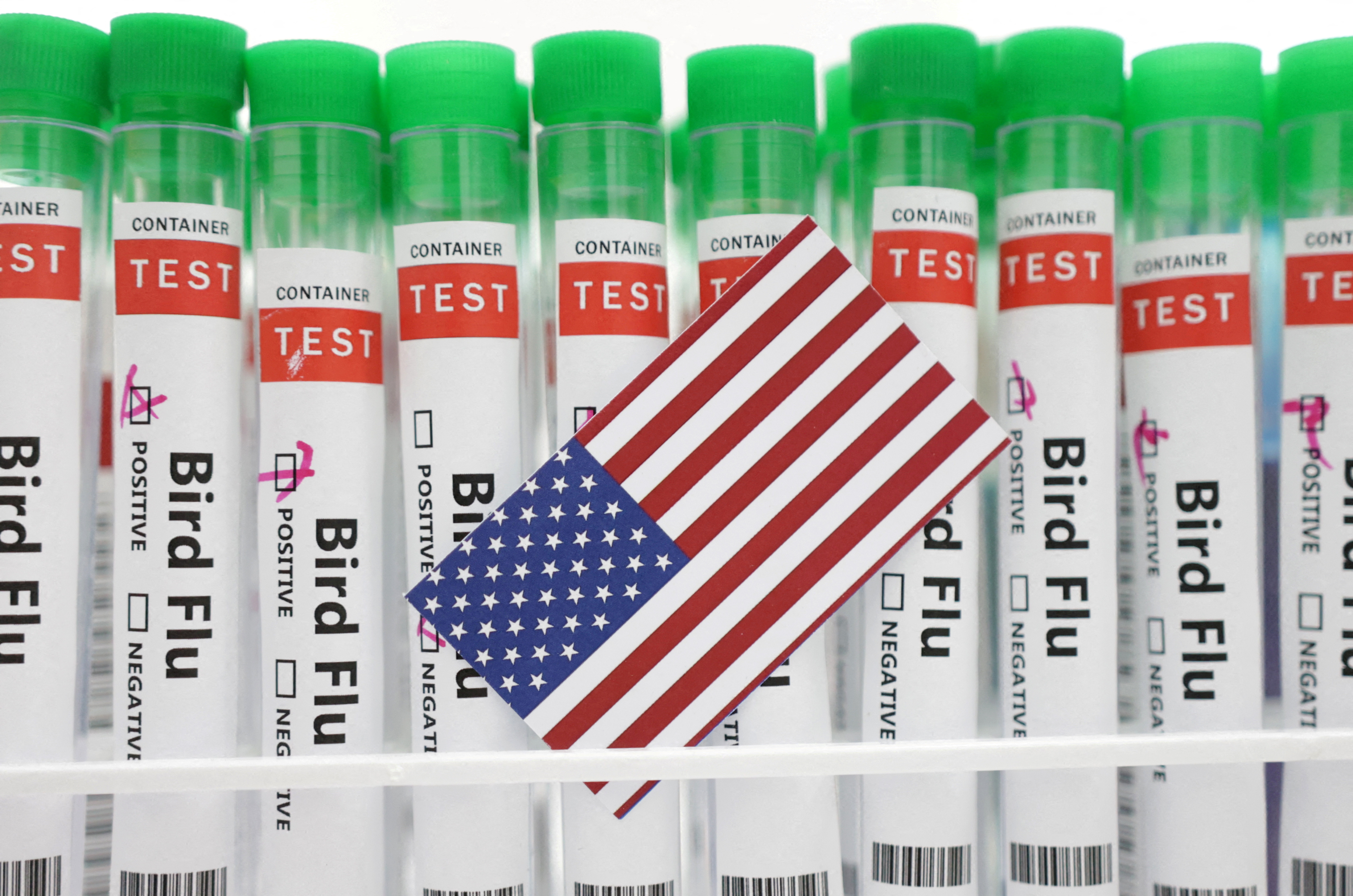 Illustration shows test tubes labelled "Bird Flu" and U.S. flag