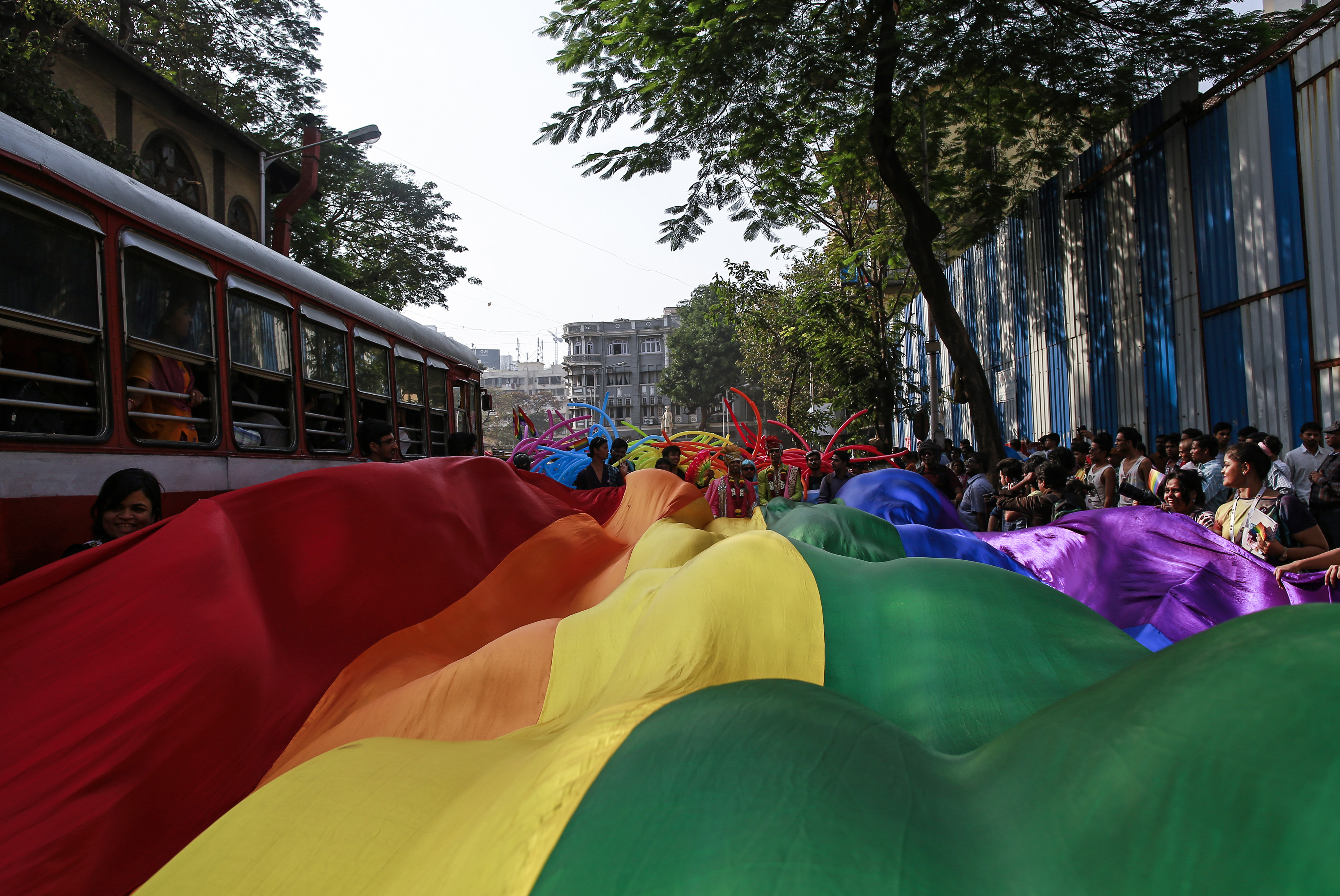 3500px x 2341px - India government opposes recognising same-sex marriage | Reuters