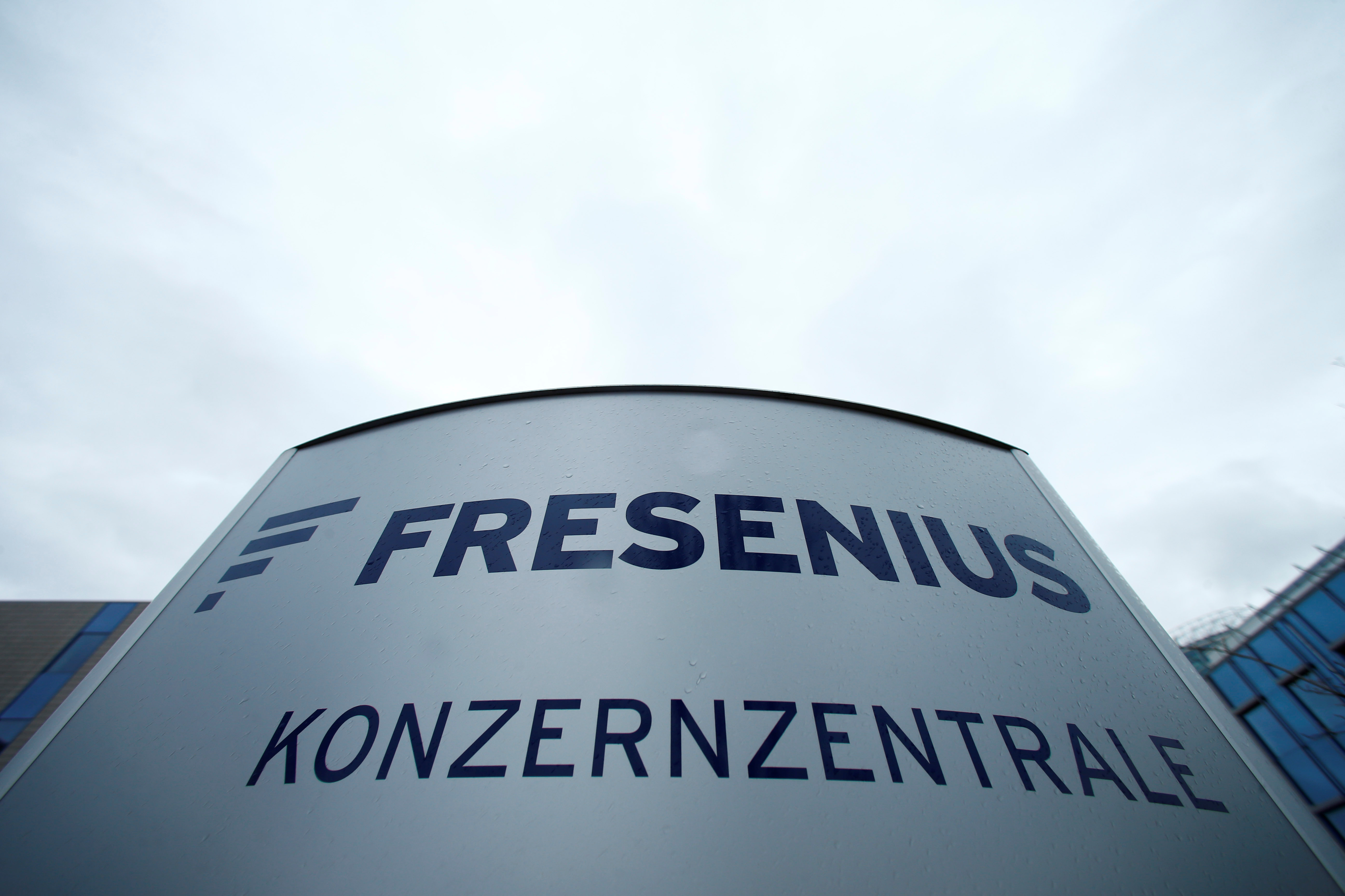 A Fresenius SE logo is pictured in Bad Homburg near Frankfurt