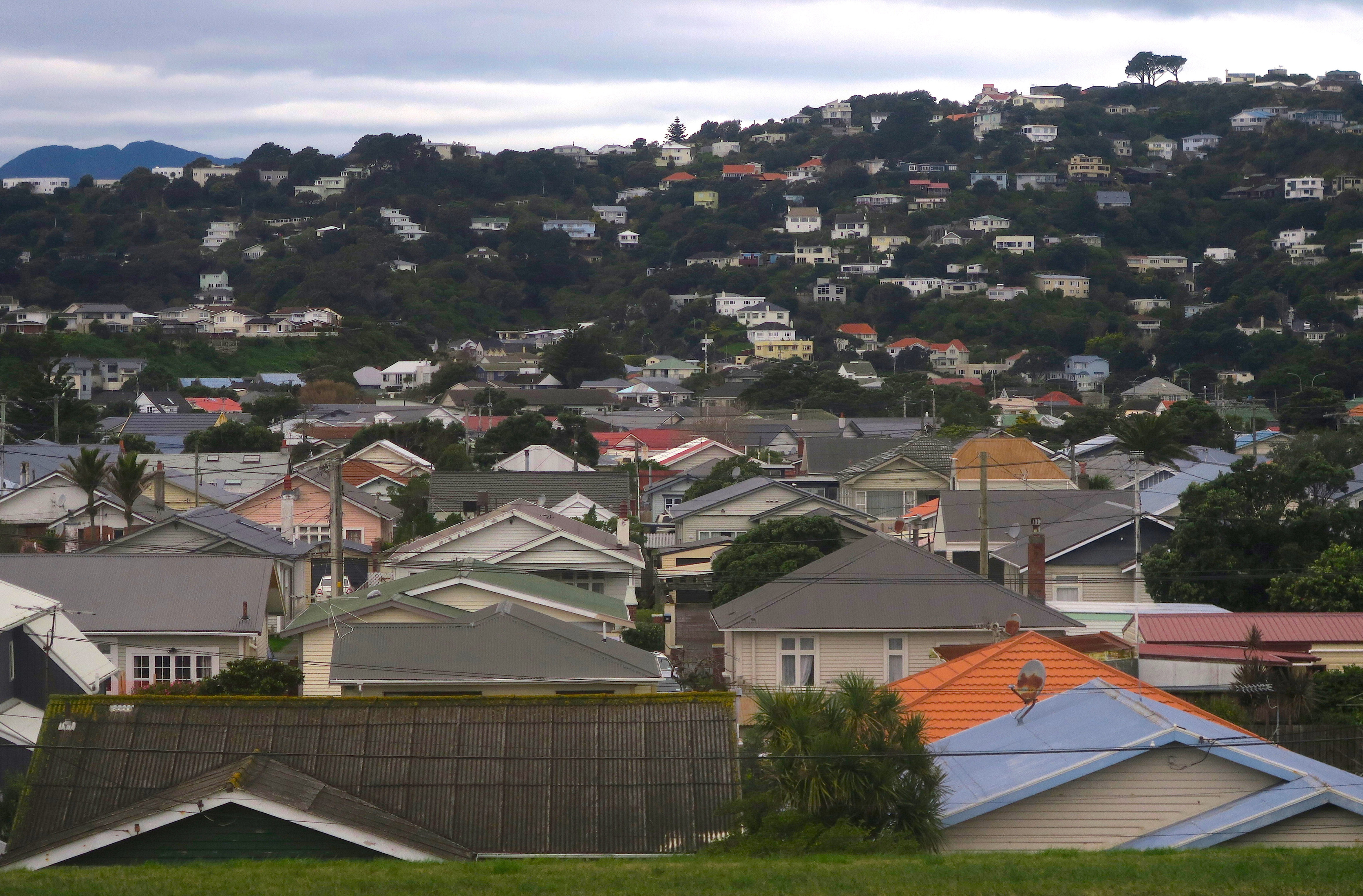 Cooling Measures Doing Little To Slow New Zealand S Housing Boom Reuters