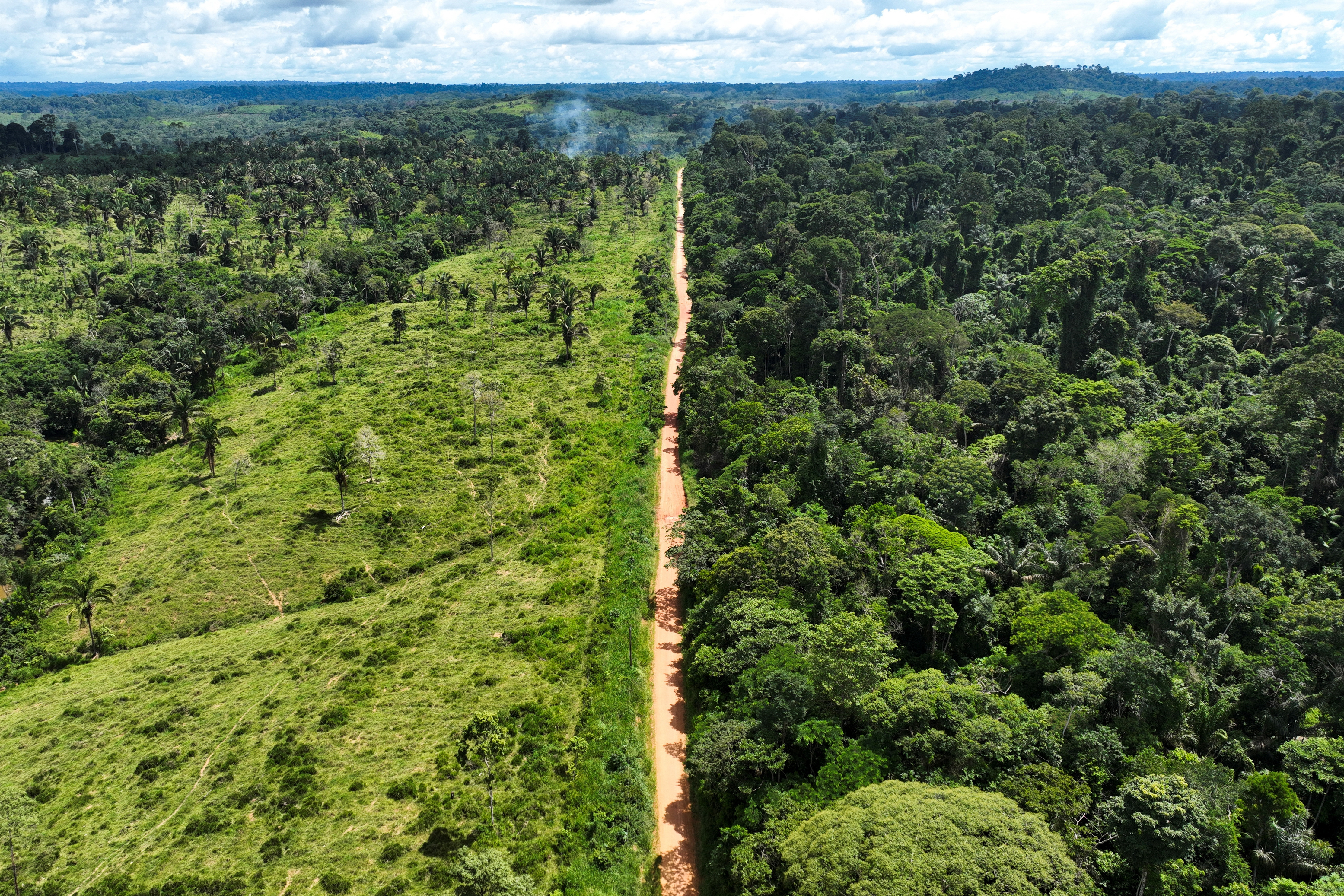 Deforestation in Brazil's  falls in first month under Lula