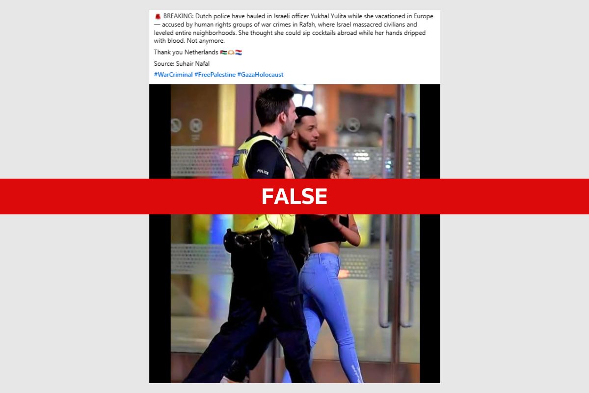 Fact Check: Greta Thunberg vegan grenades TV interview is deepfake |  Reuters