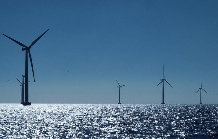 Environmental assessment of proposed areas for offshore wind farms