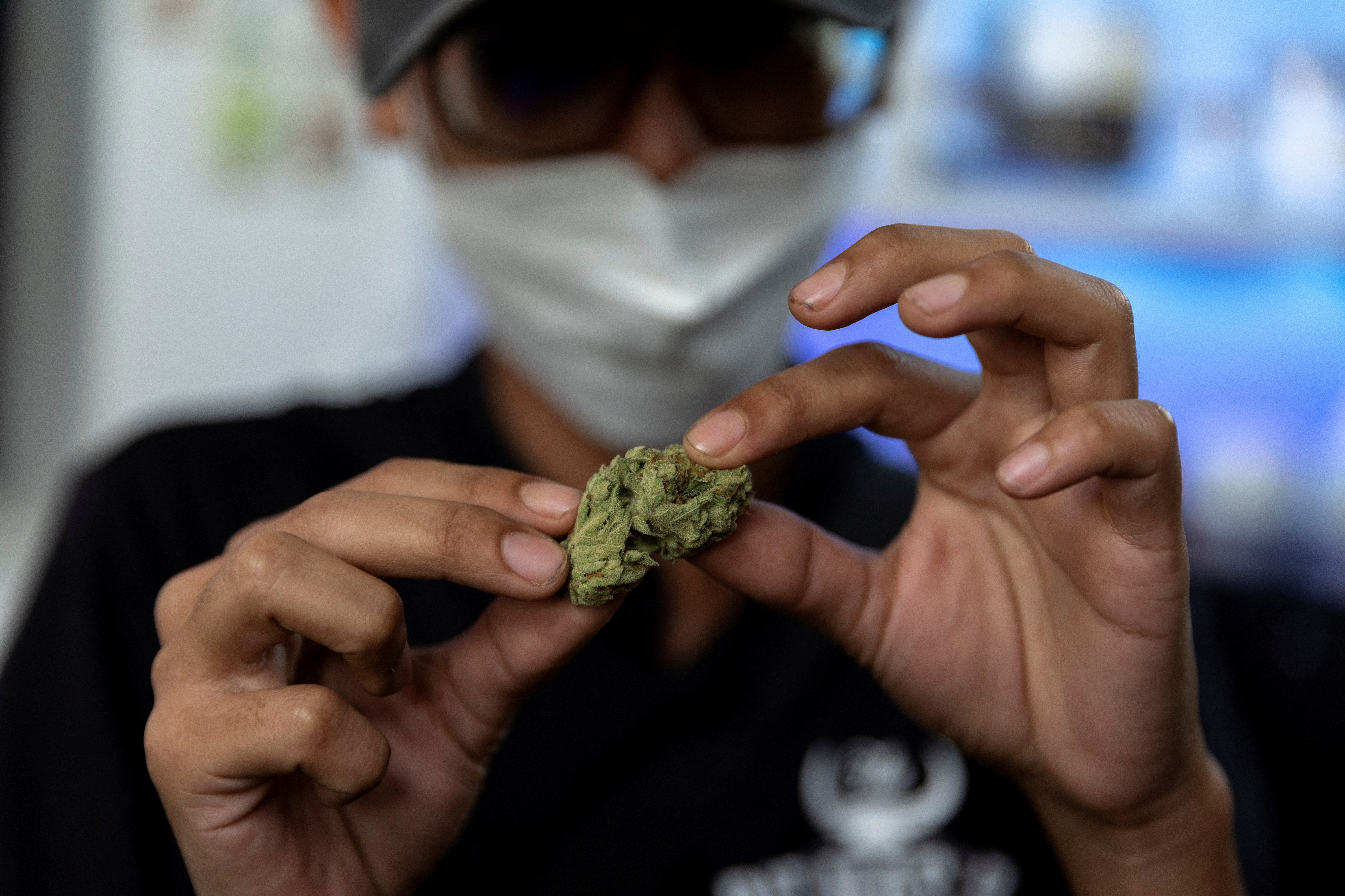 Thailand legalises the growing, and consumption of marijuana
