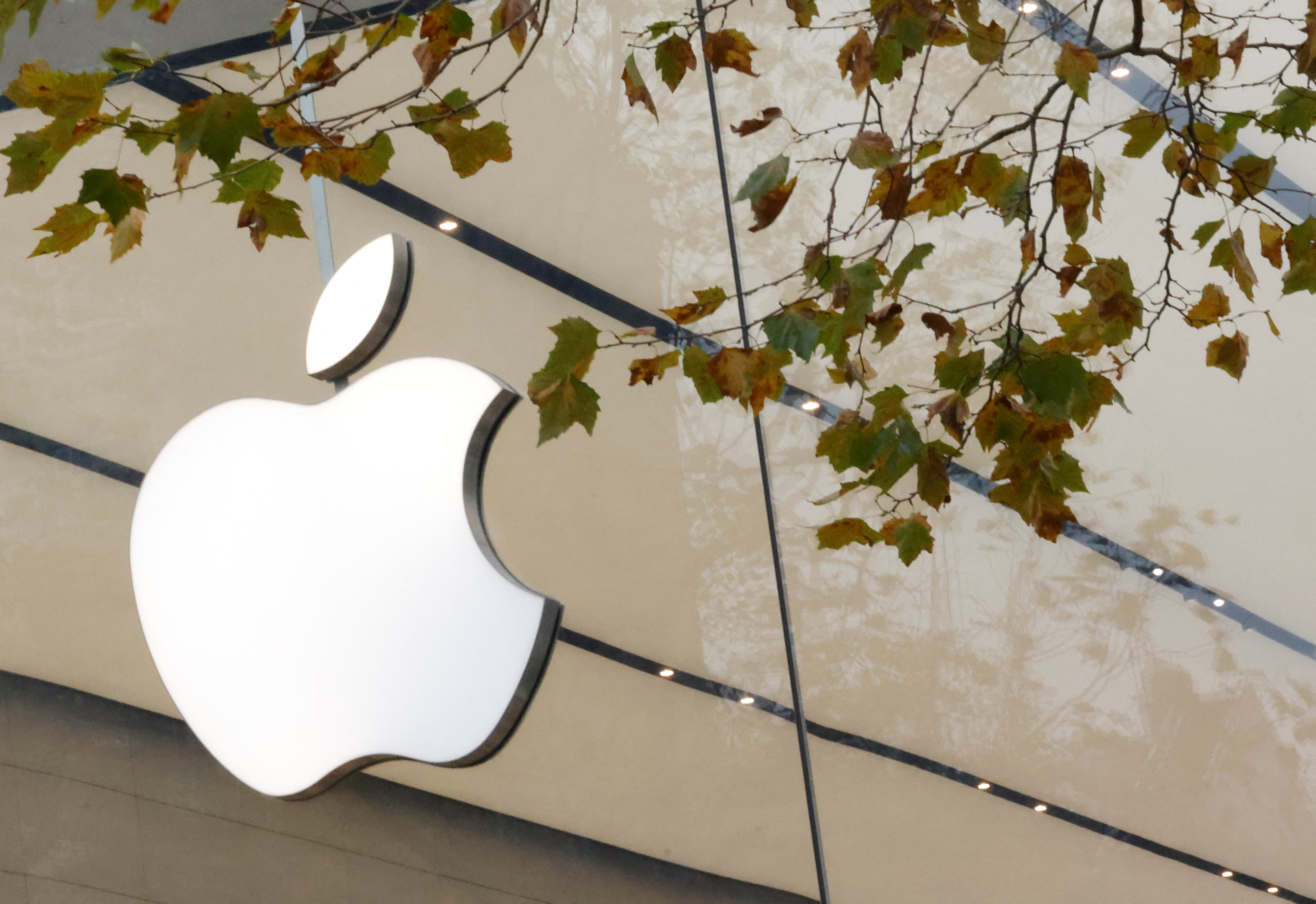 Apple endorses California bill to oblige companies to report