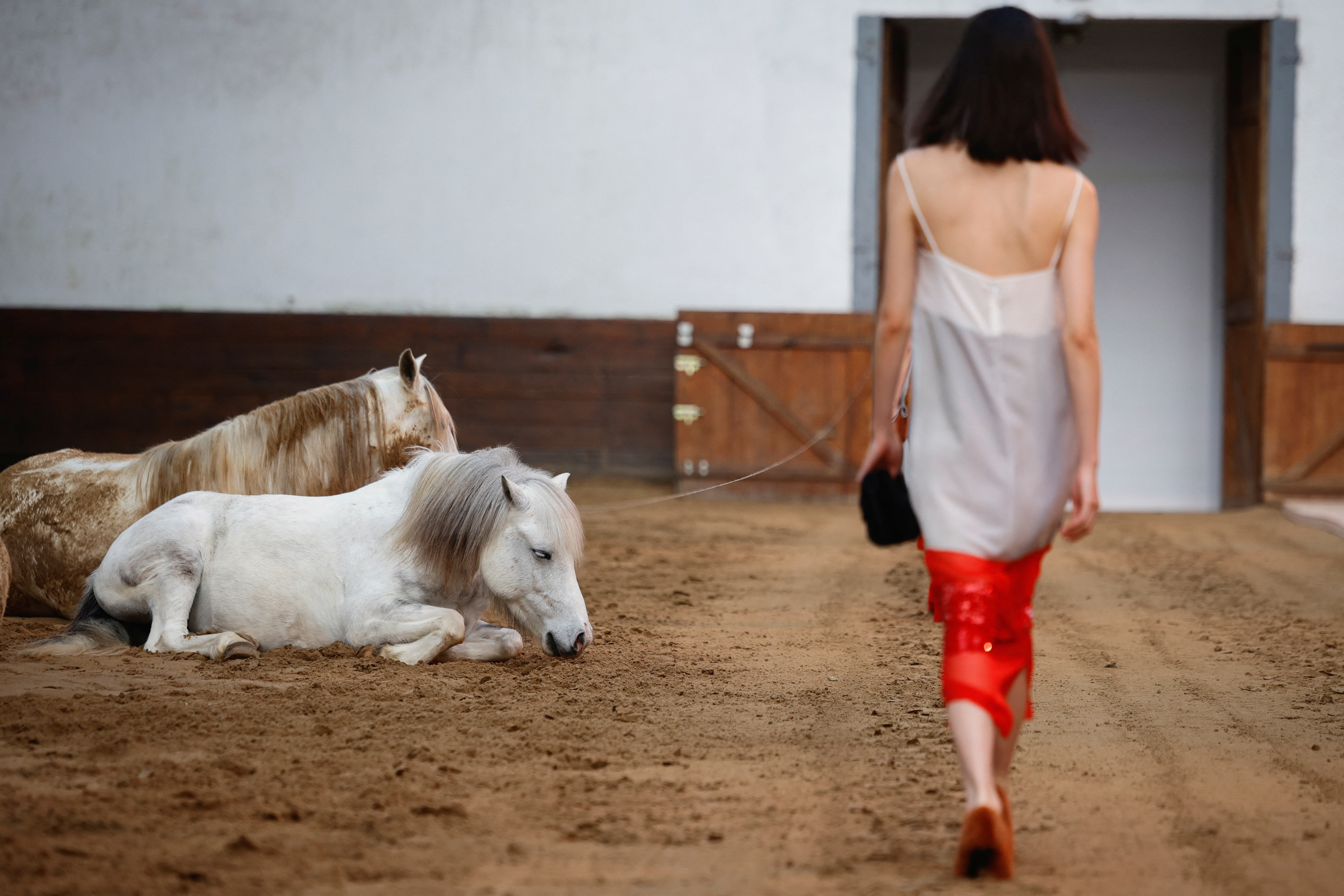 Horses on the catwalk: Stella McCartney pushes leather-free Horses on the catwalk: Stella McCartney pushes leather-free