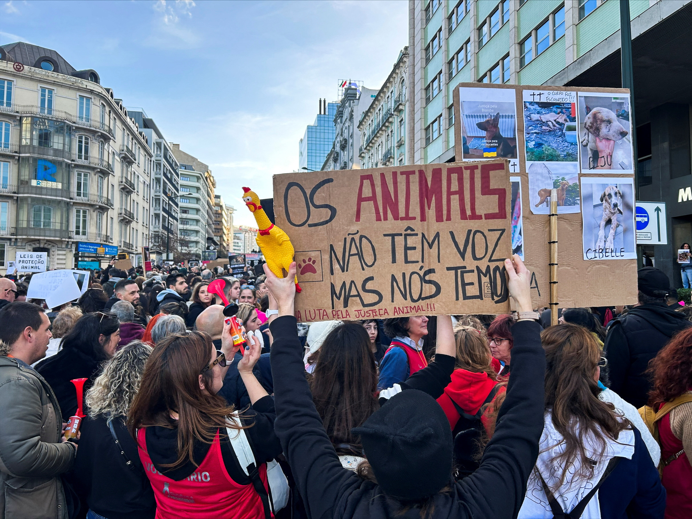 Thousands protest in Lisbon for animal rights amid constitutional dispute |  Reuters