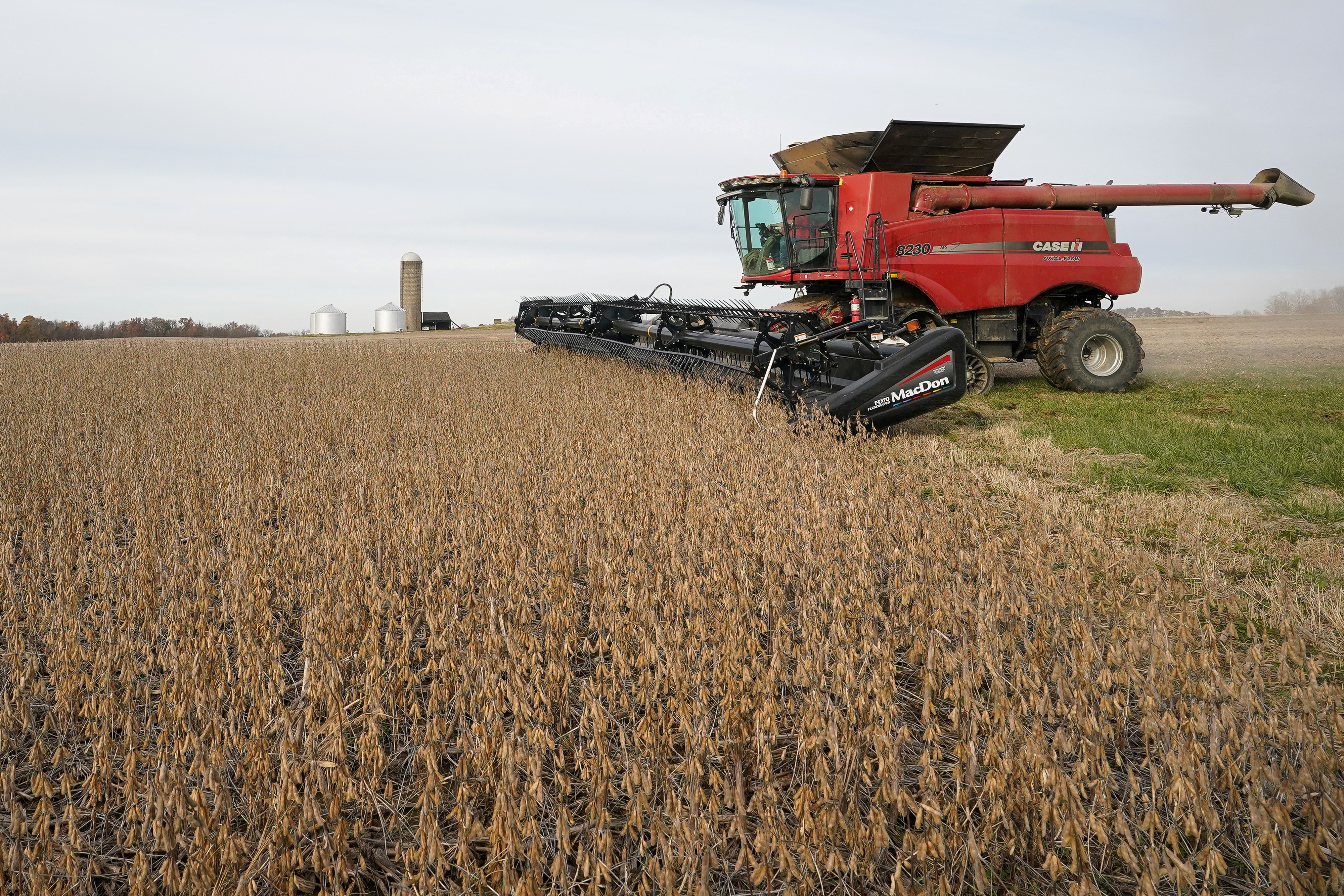 Soybeans are harvested from a field on Hodgen Farm in Roachdale
