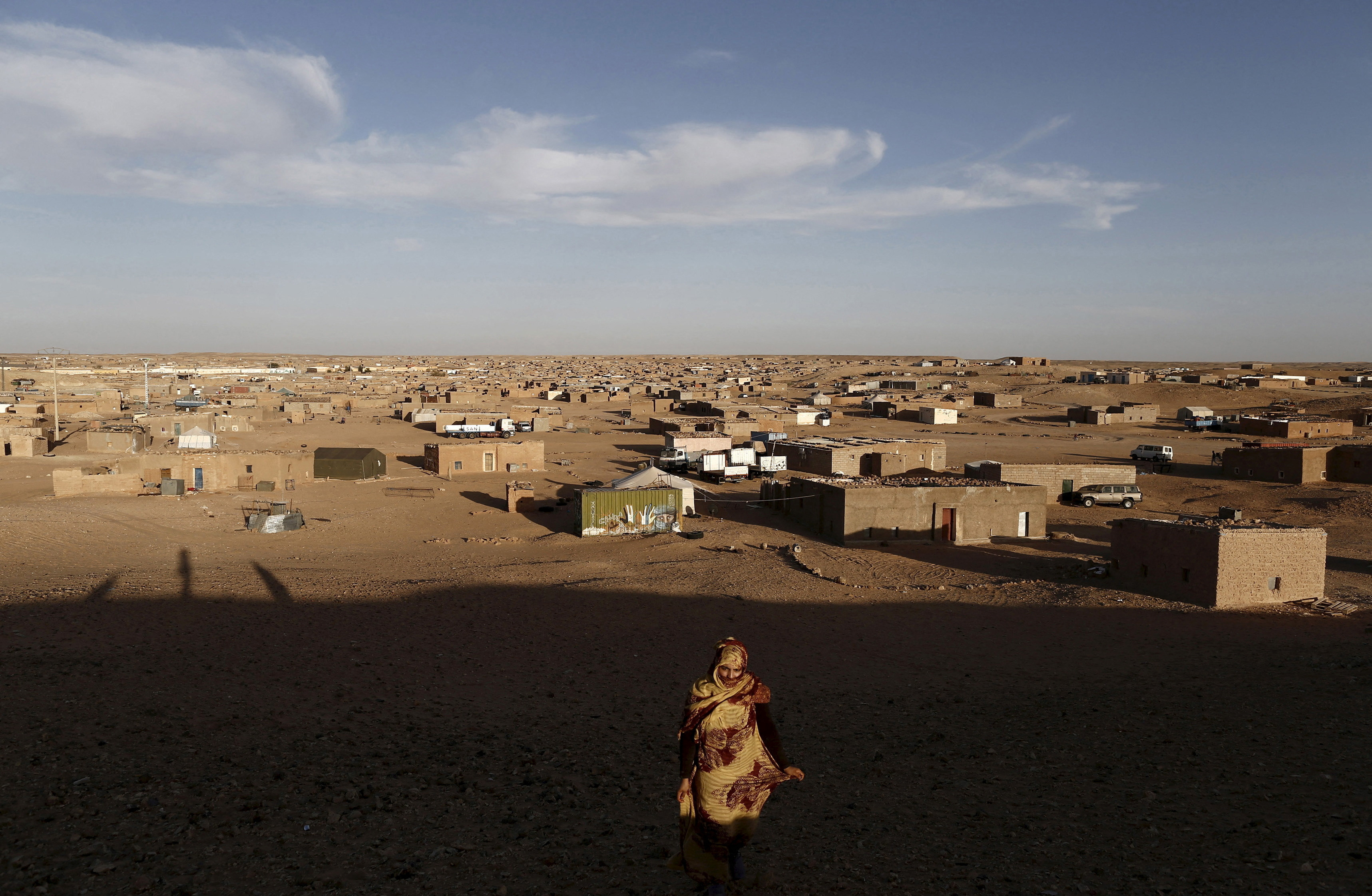 UN envoy proposes Western Sahara partition plan | Reuters
