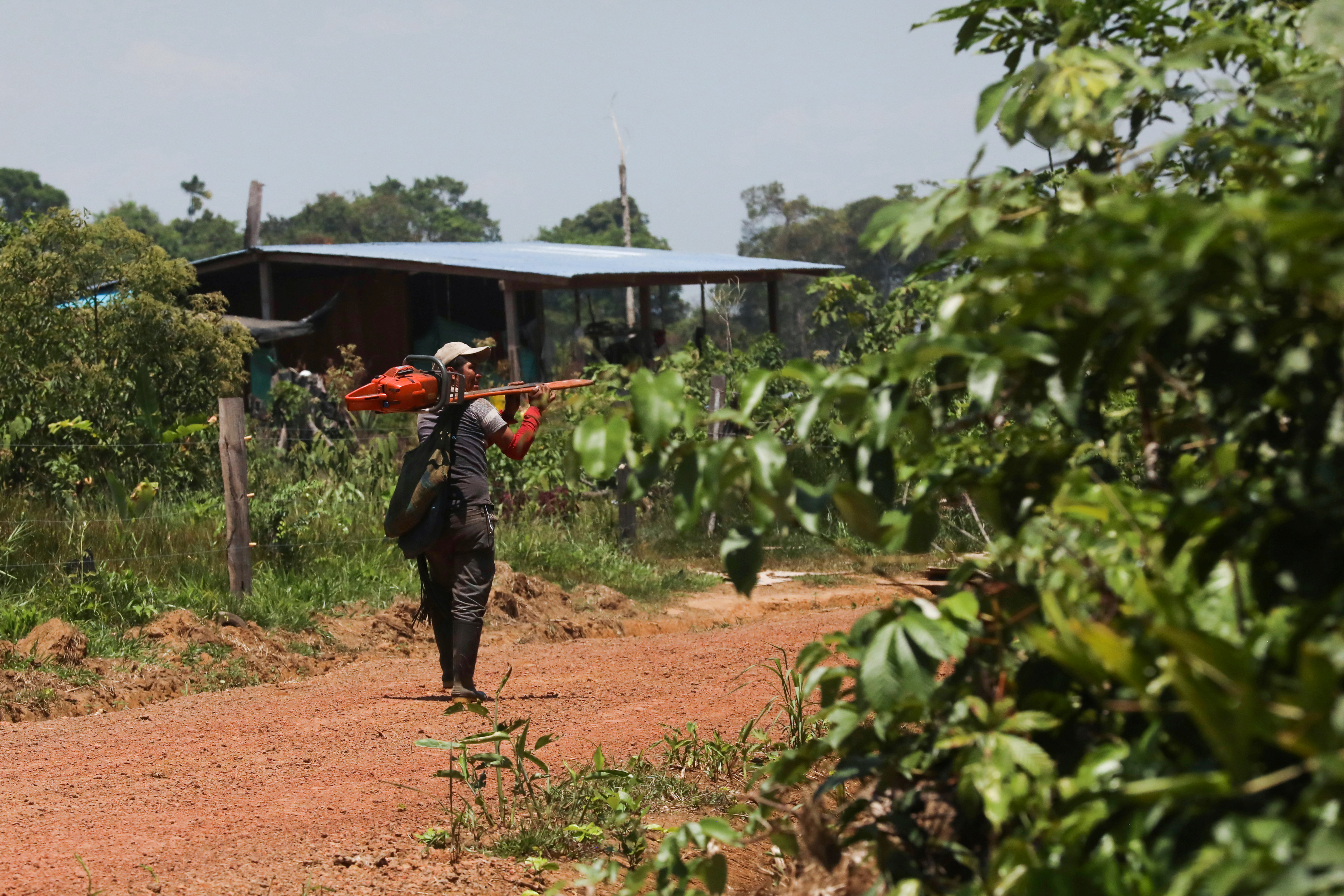 A man walks carrying a chainsaw in the middle of an illegal road made during the deforestation of the Yari plains, in Caqueta