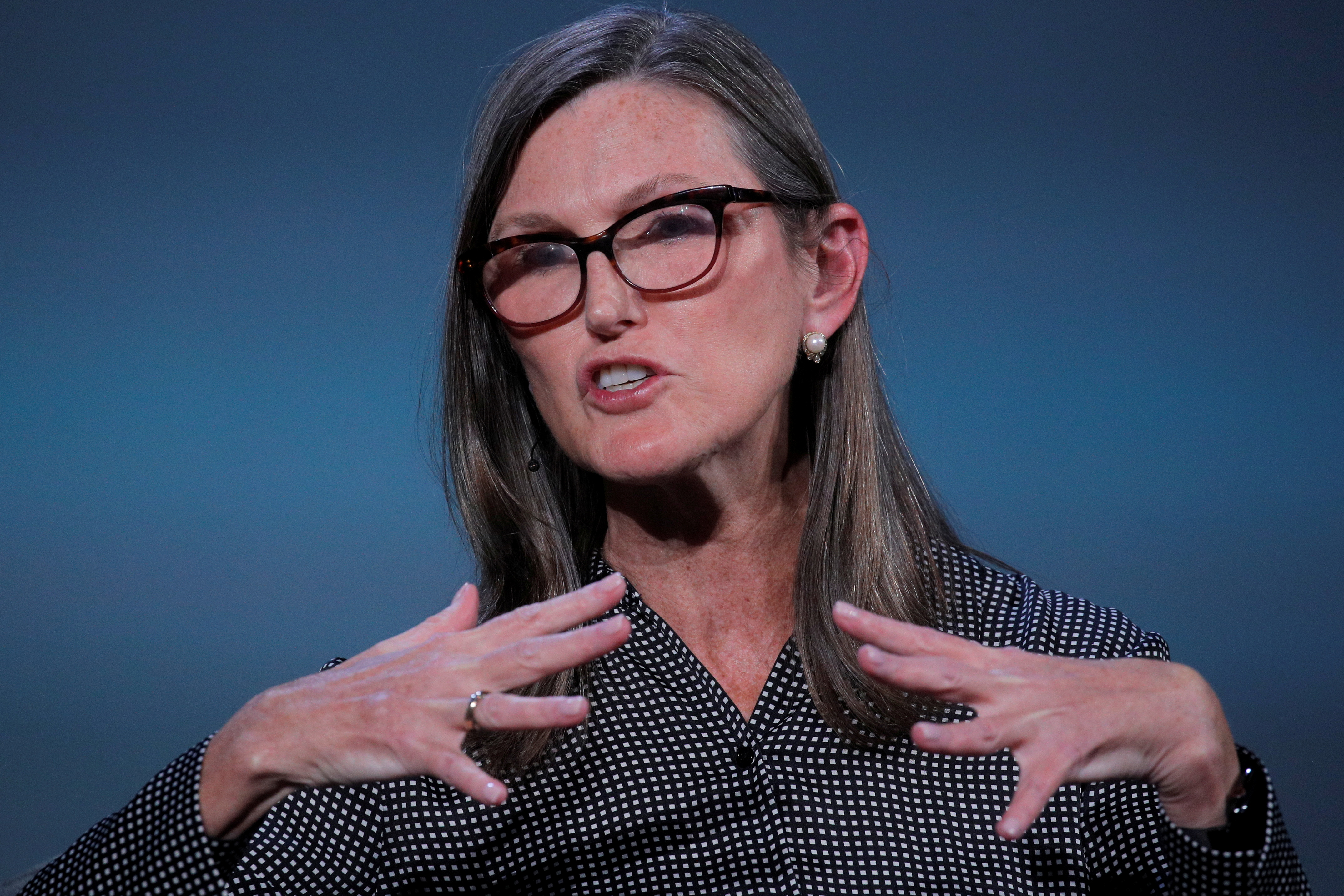 Cathie Wood, founder and CEO of ARK Investment Management LLC, speaks during the Skybridge Capital SALT New York 2021 conference in New York City, U.S., September 13, 2021.  REUTERS/Brendan McDermid/File Photo