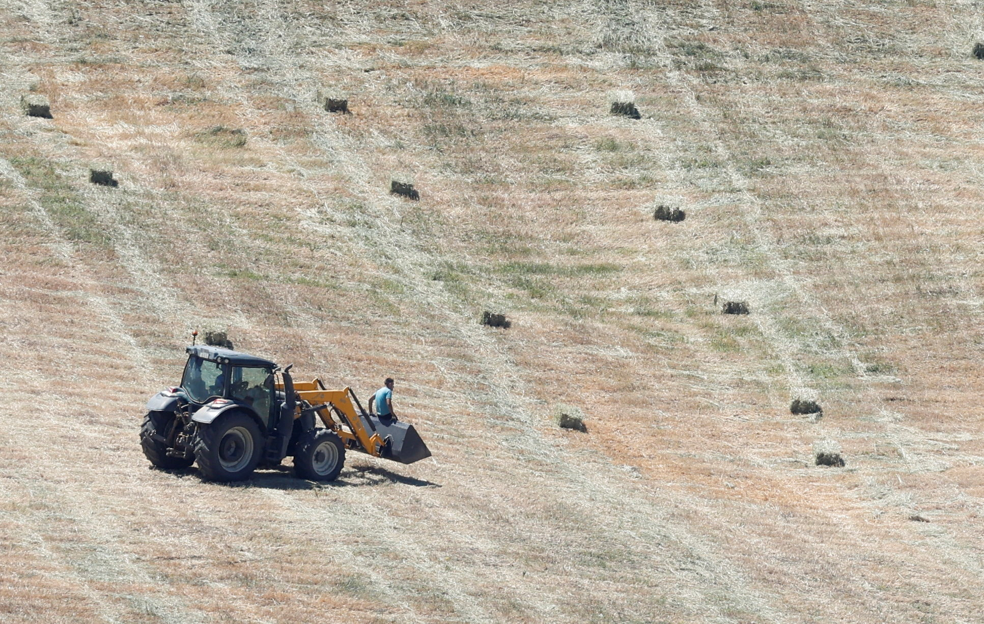 Farmers collect the hay harvest in a field affected by the prolonged drought, in Ronda