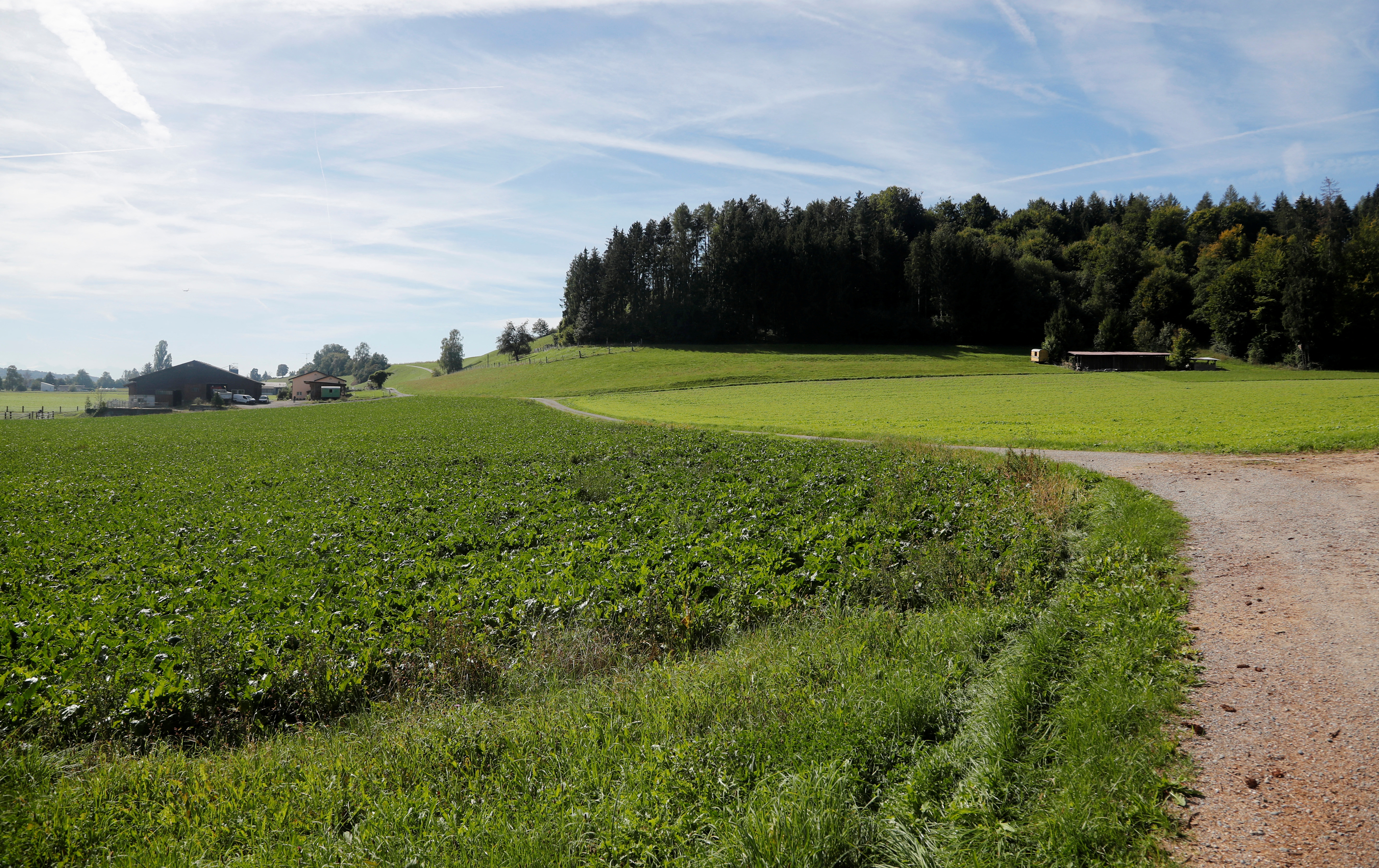 Haberstal area, favoured location for a underground nuclear waste storage site near Stadel