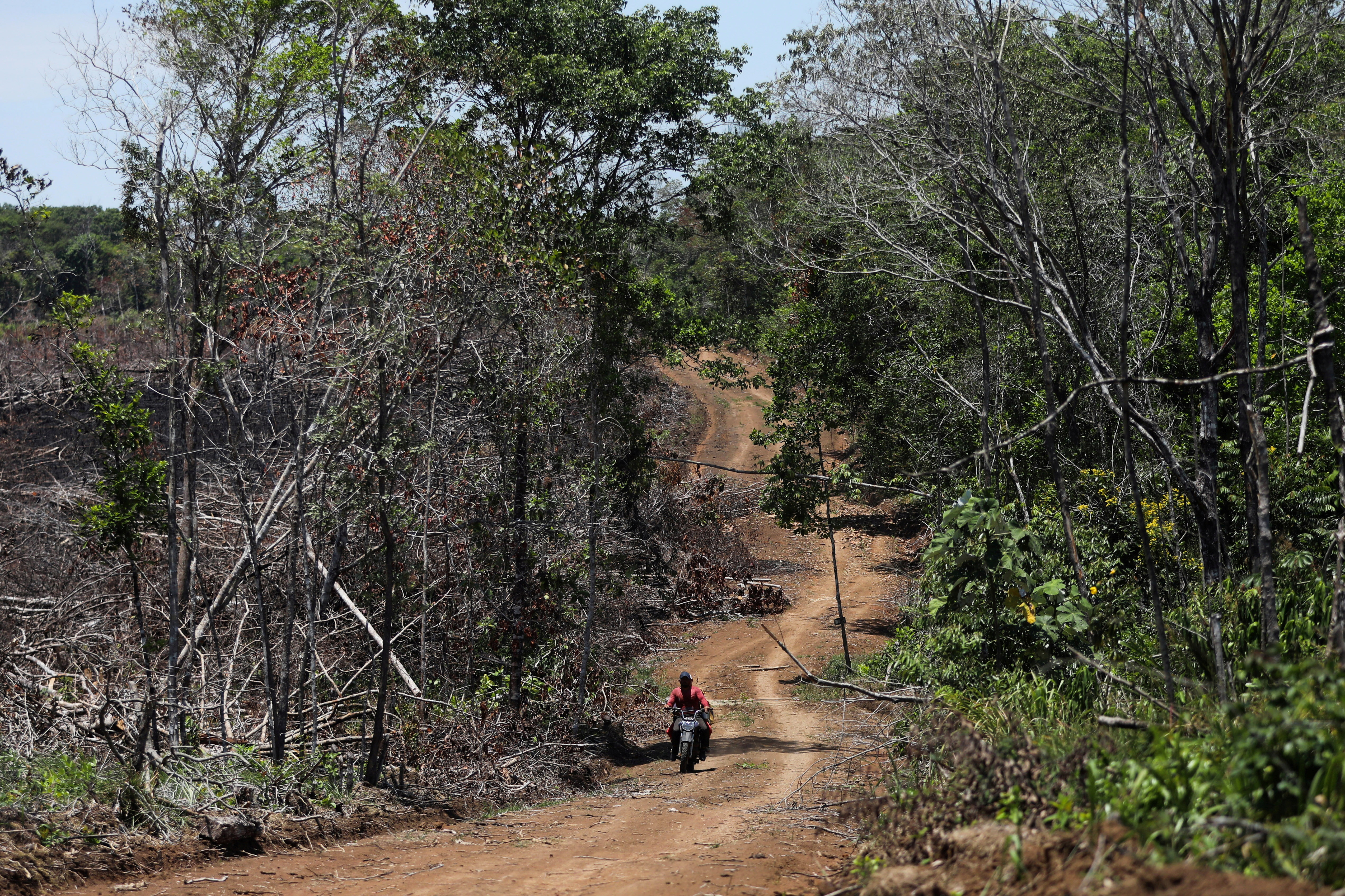A man rides a motorcycle on an illegal road made during the deforestation of the Yari plains, in Caqueta