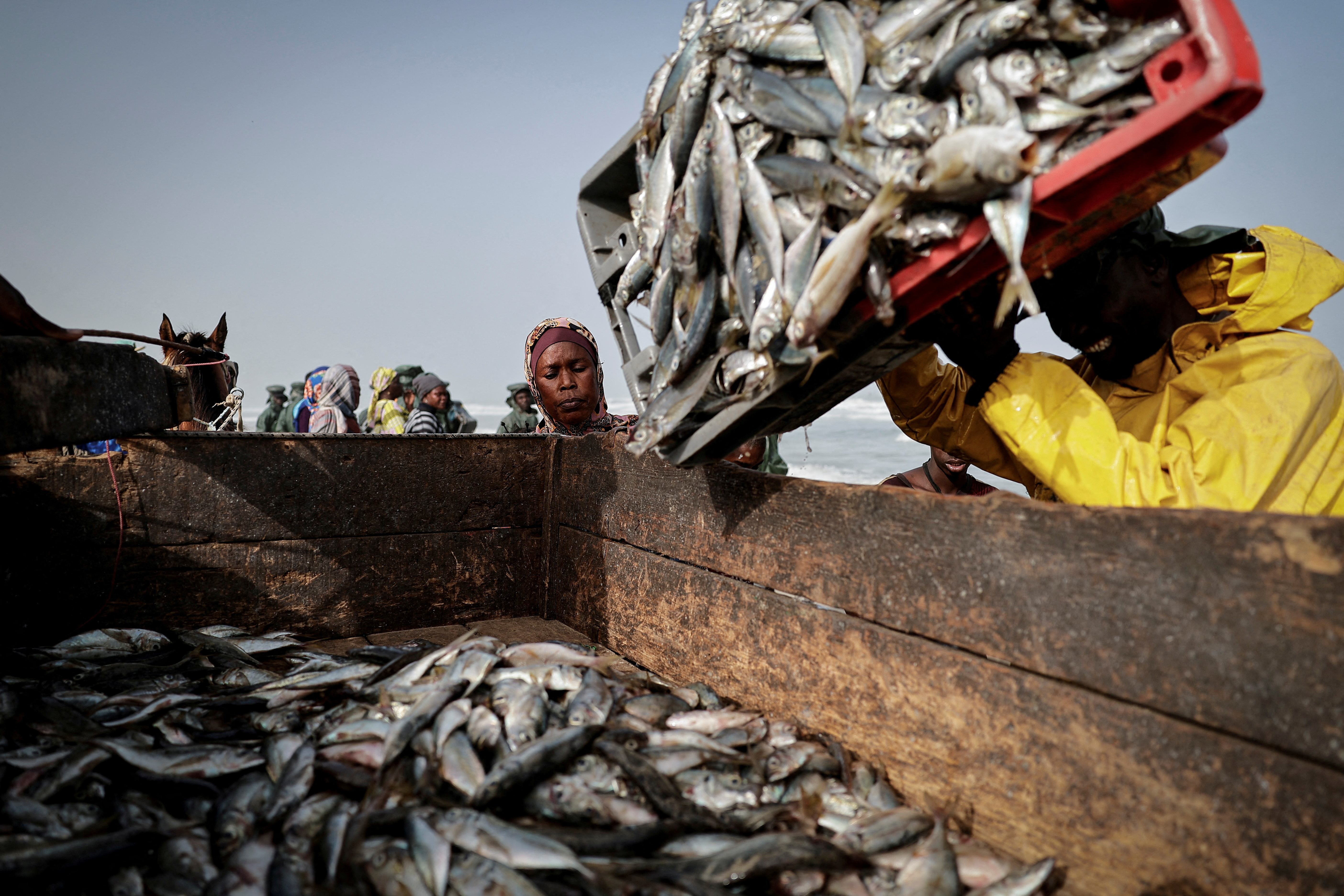 A vendor waits to buy fresh fish in Fass Boye, Senegal