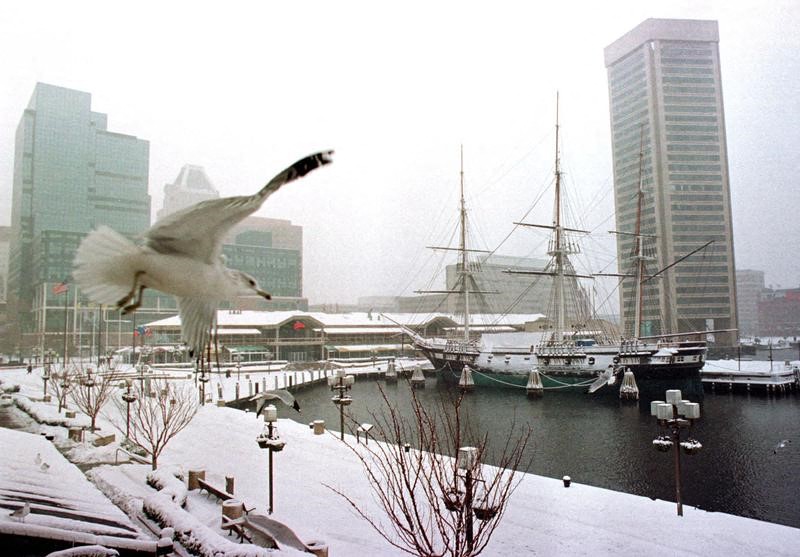 A seagull flies over the promenade of Baltimore's Inner Harbor during a snow storm January 25.  An u..