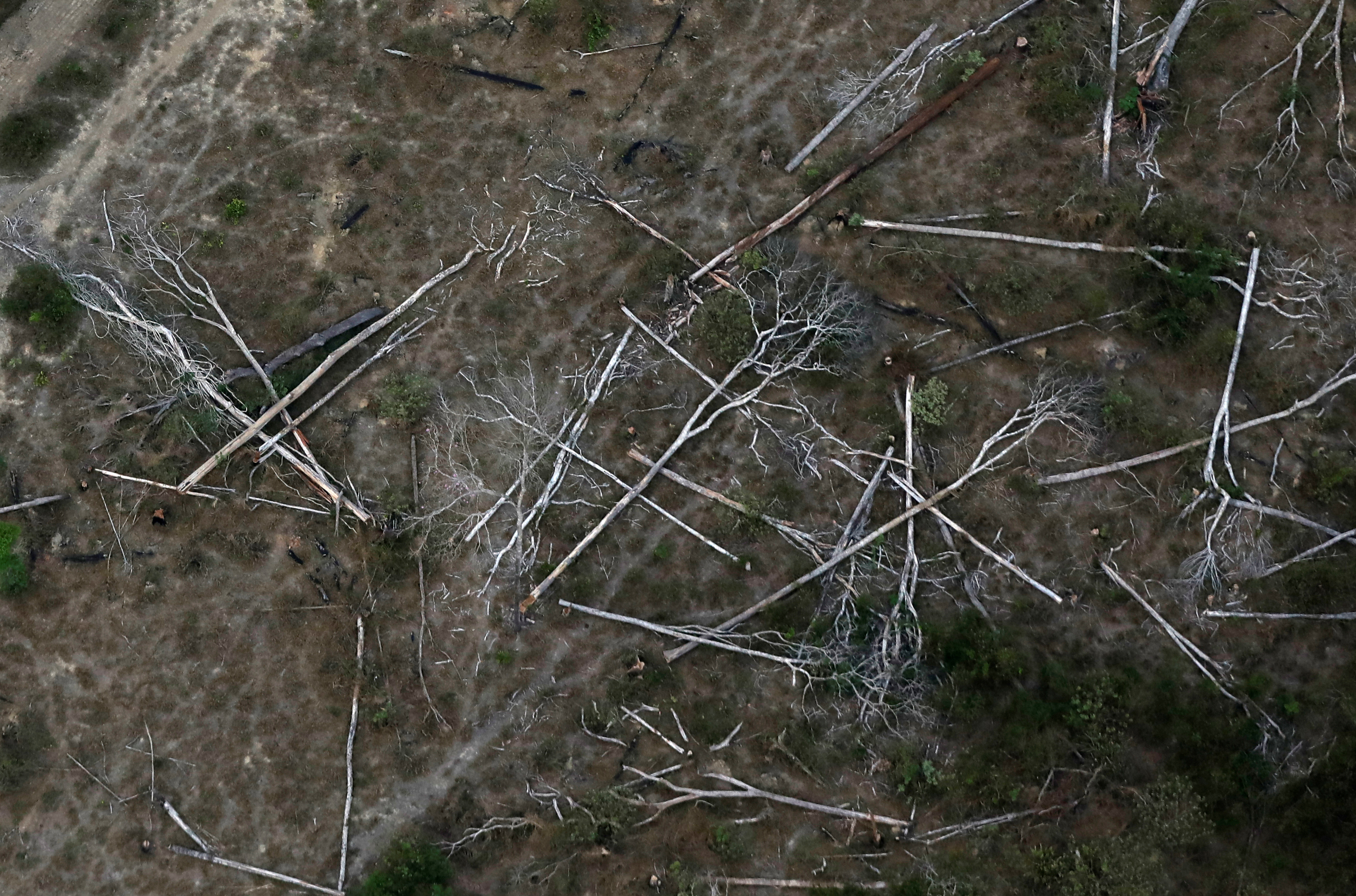 An aerial view shows a deforested plot of the Amazon near Porto Velho