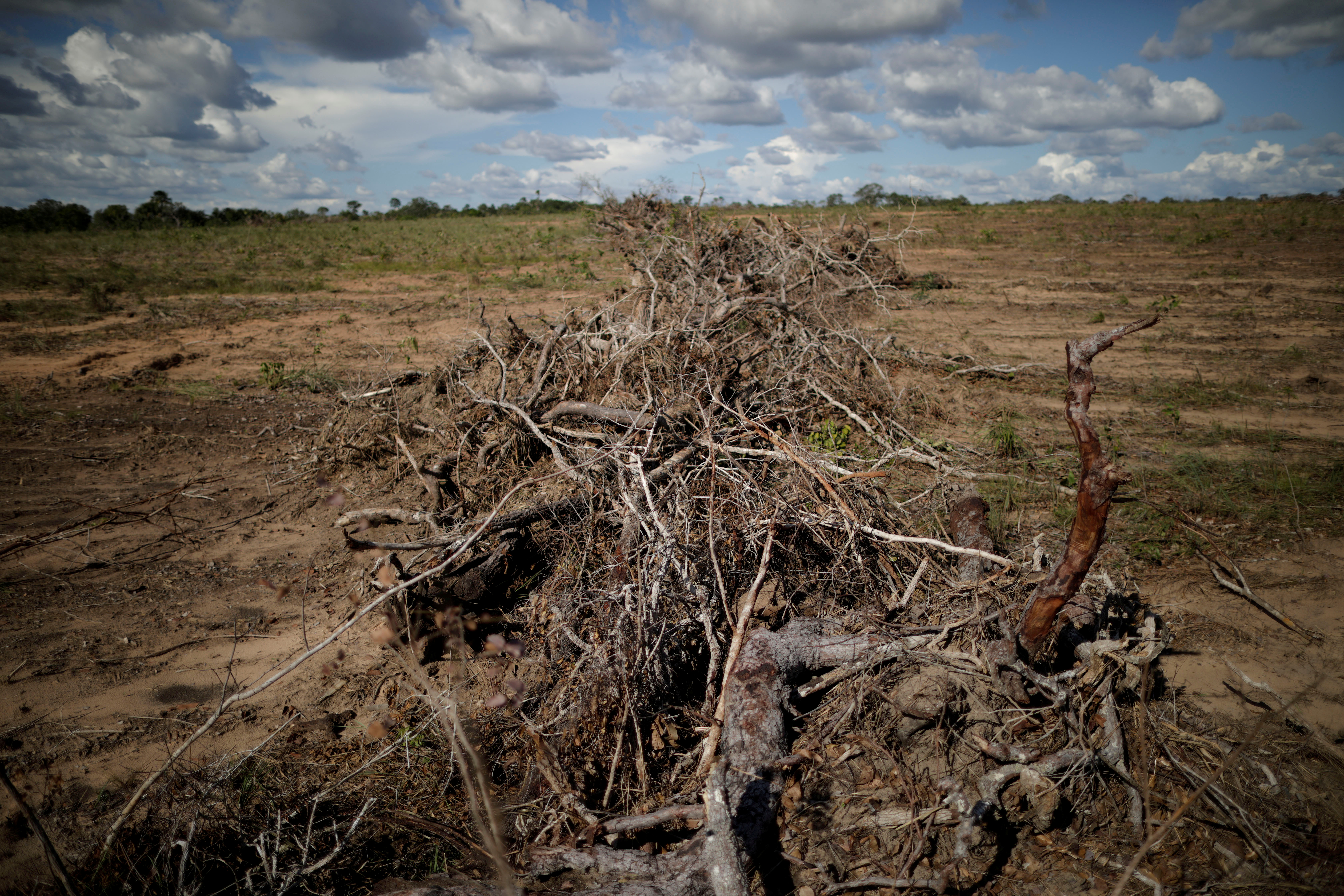 Branches and roots are piled on a farm after deforestation in Palmeirante