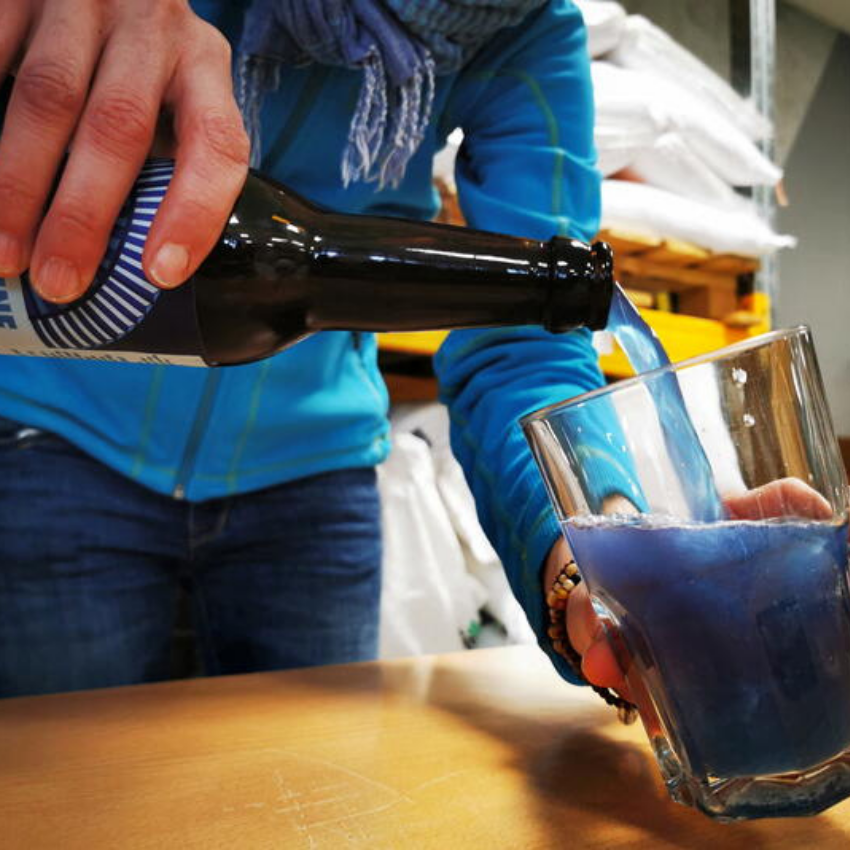 ¡Sacrebleu! Los cerveceros franceses usan algas para hacer cerveza azul