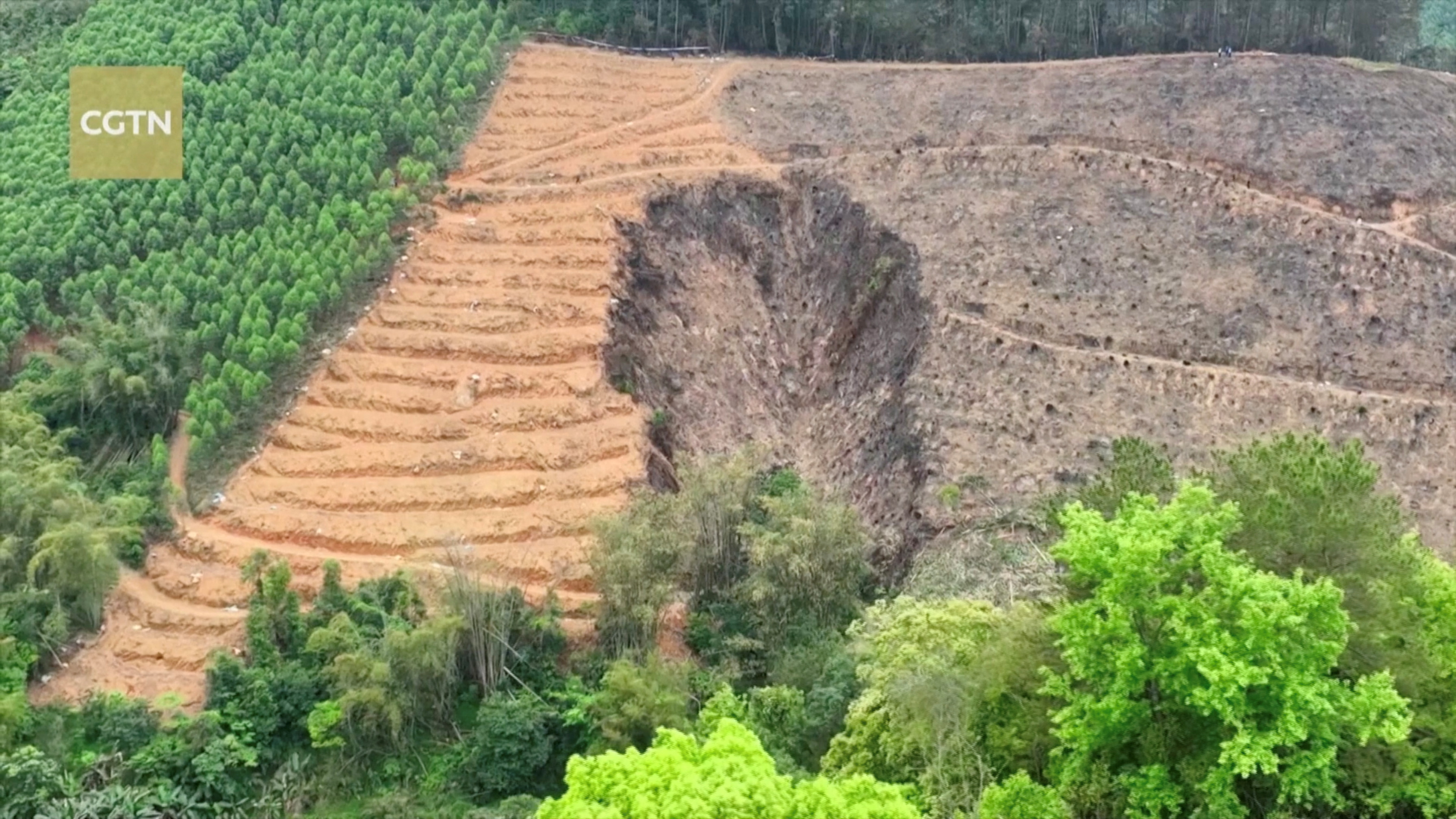 Aerial view of the plane crash site in Wuzhou