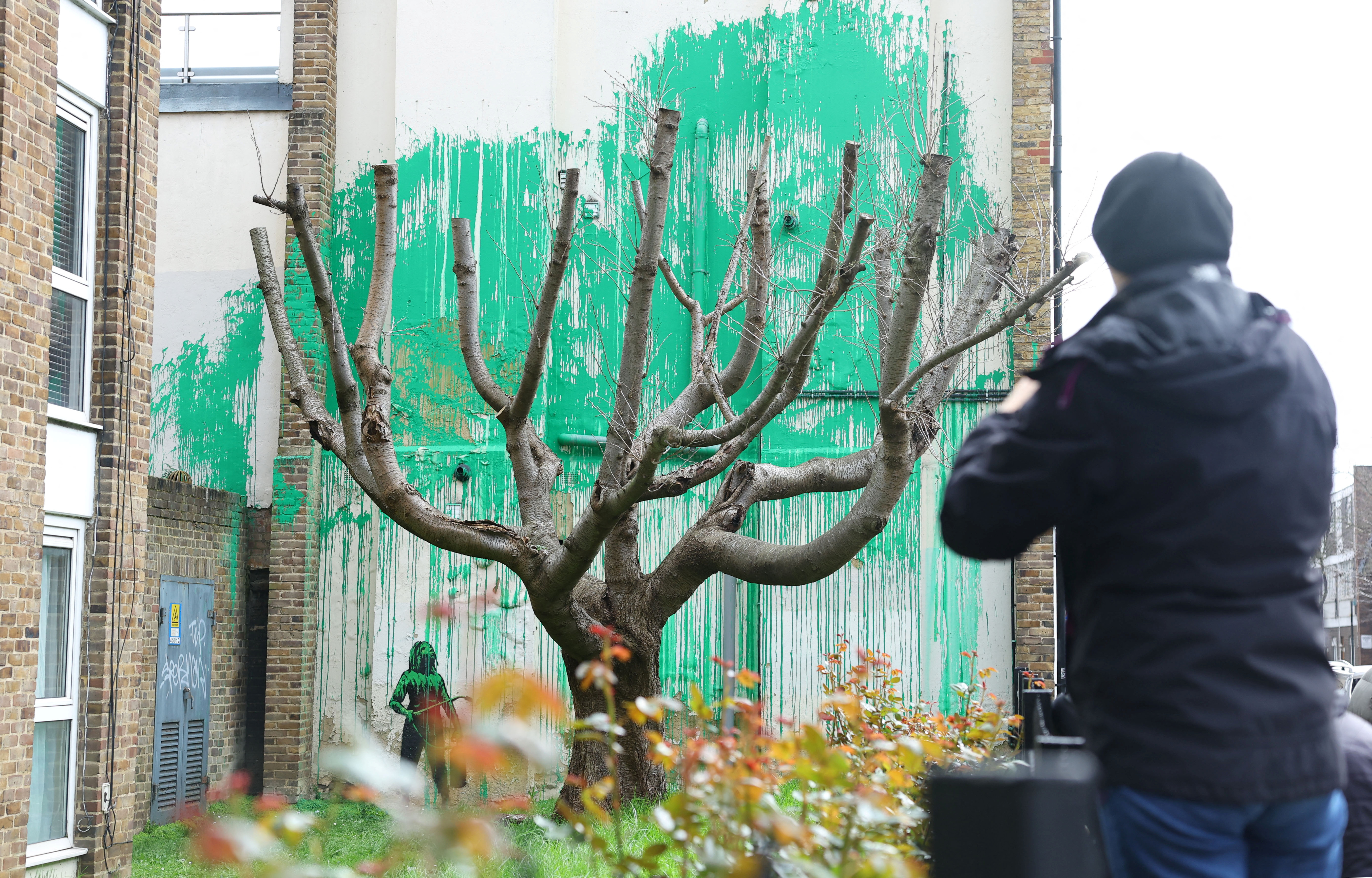 バンクシー、裸木に「葉」描く　ロンドン北部で新作公開