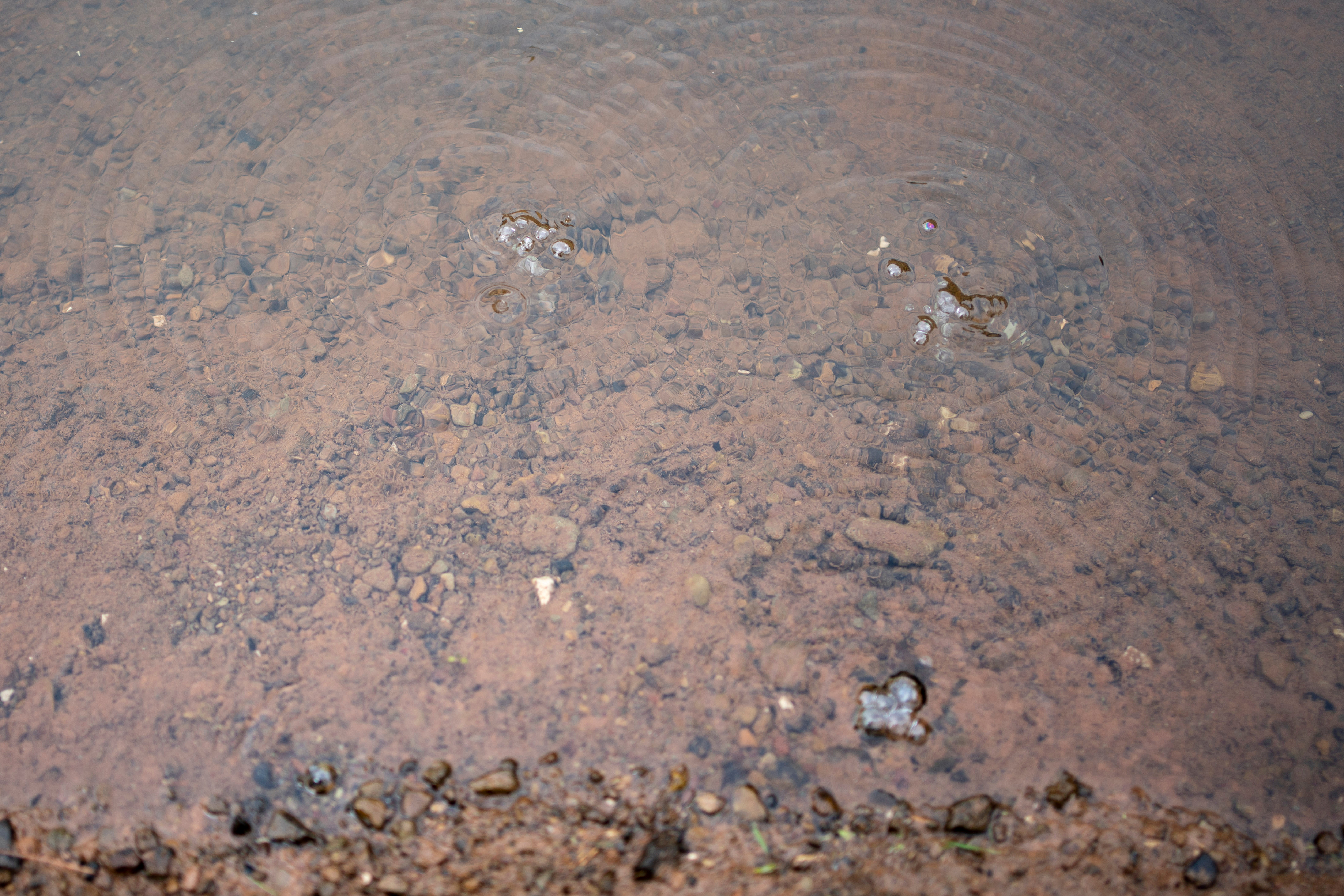 Bubbles of methane from old gas wells rise through the water in a small stream in Roan County, West Virginia, U.S., May 17, 2021. Picture taken May 17, 2021.   REUTERS/Dane Rhys/File Photo