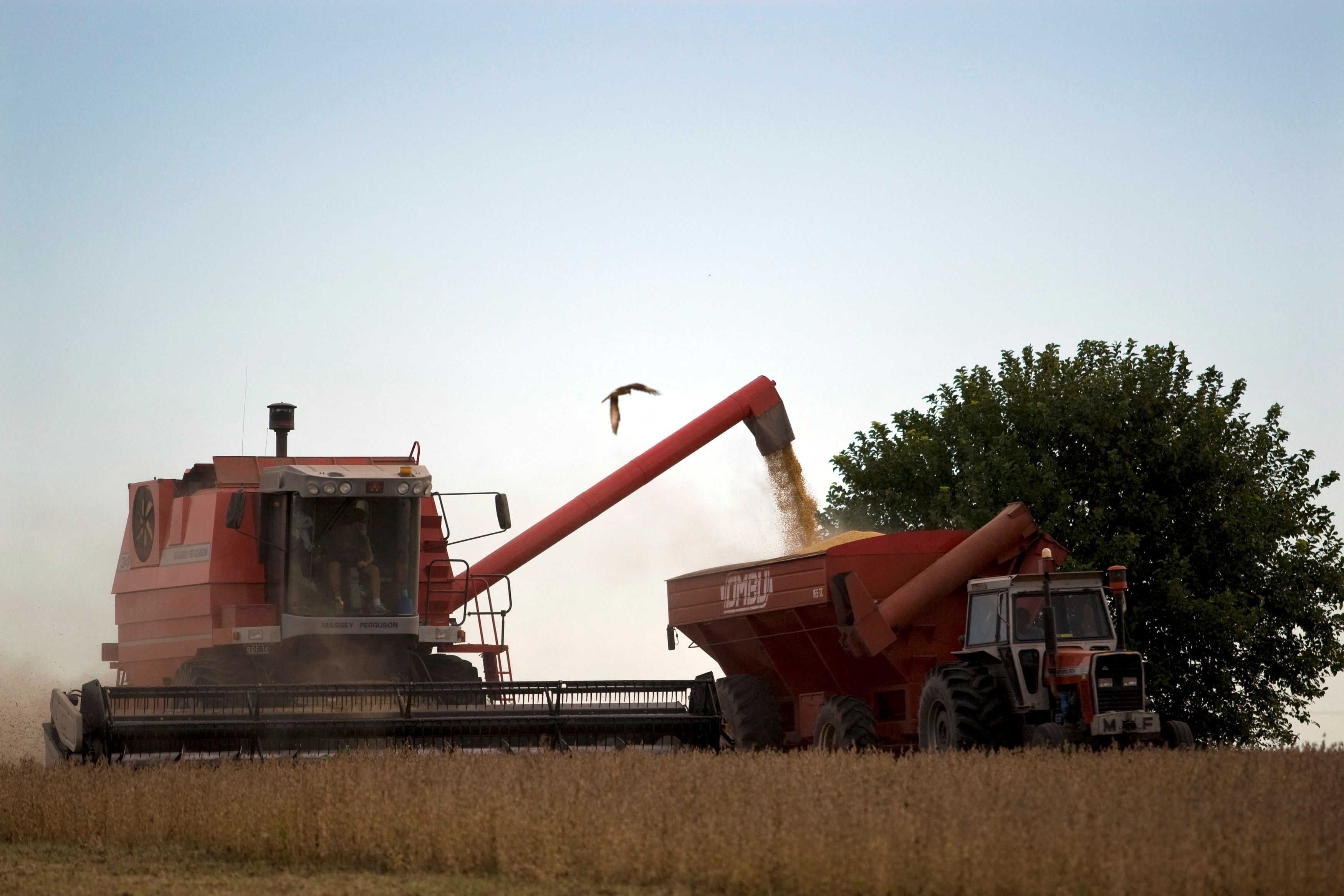 Farmers harvest soybeans in Argentina's town of Estacion Islas