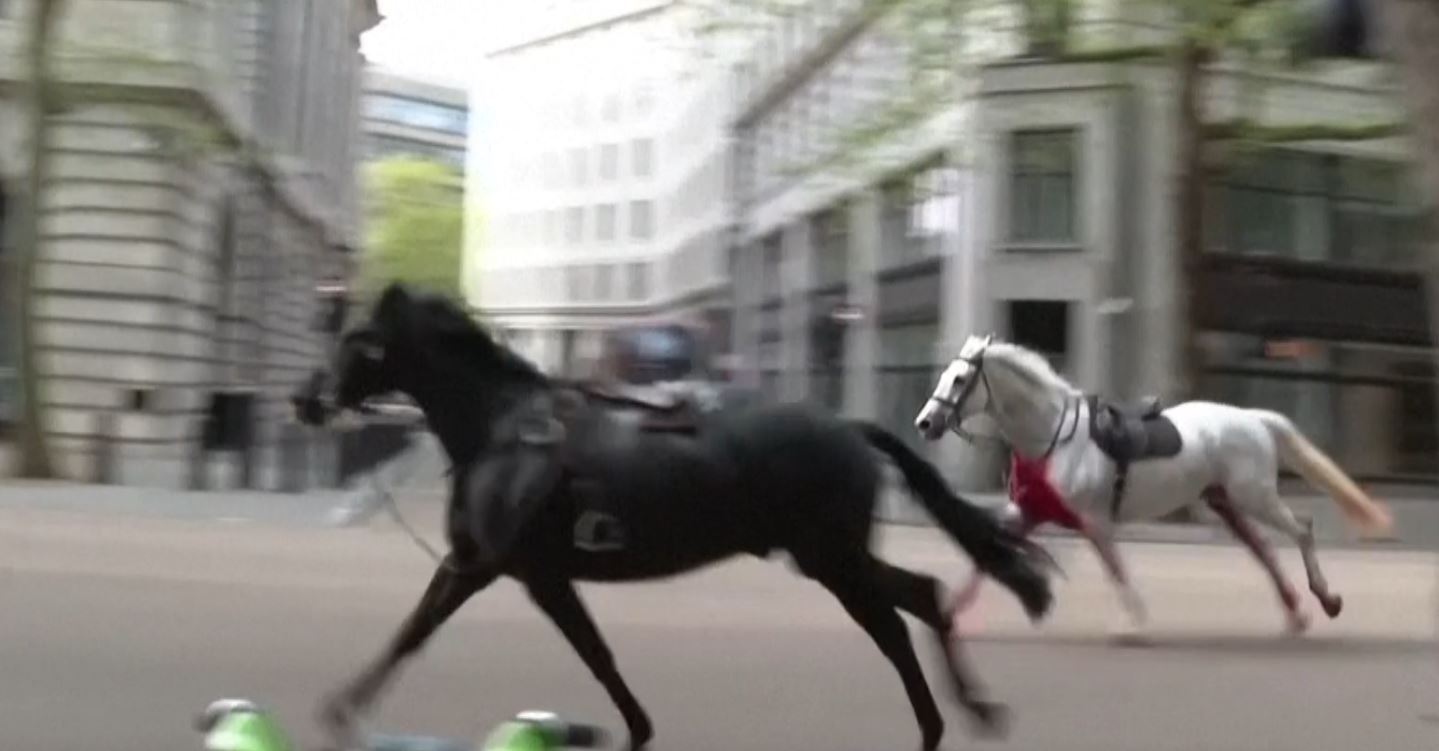 Cavalry horses run amok in central London and injure four people | Reuters