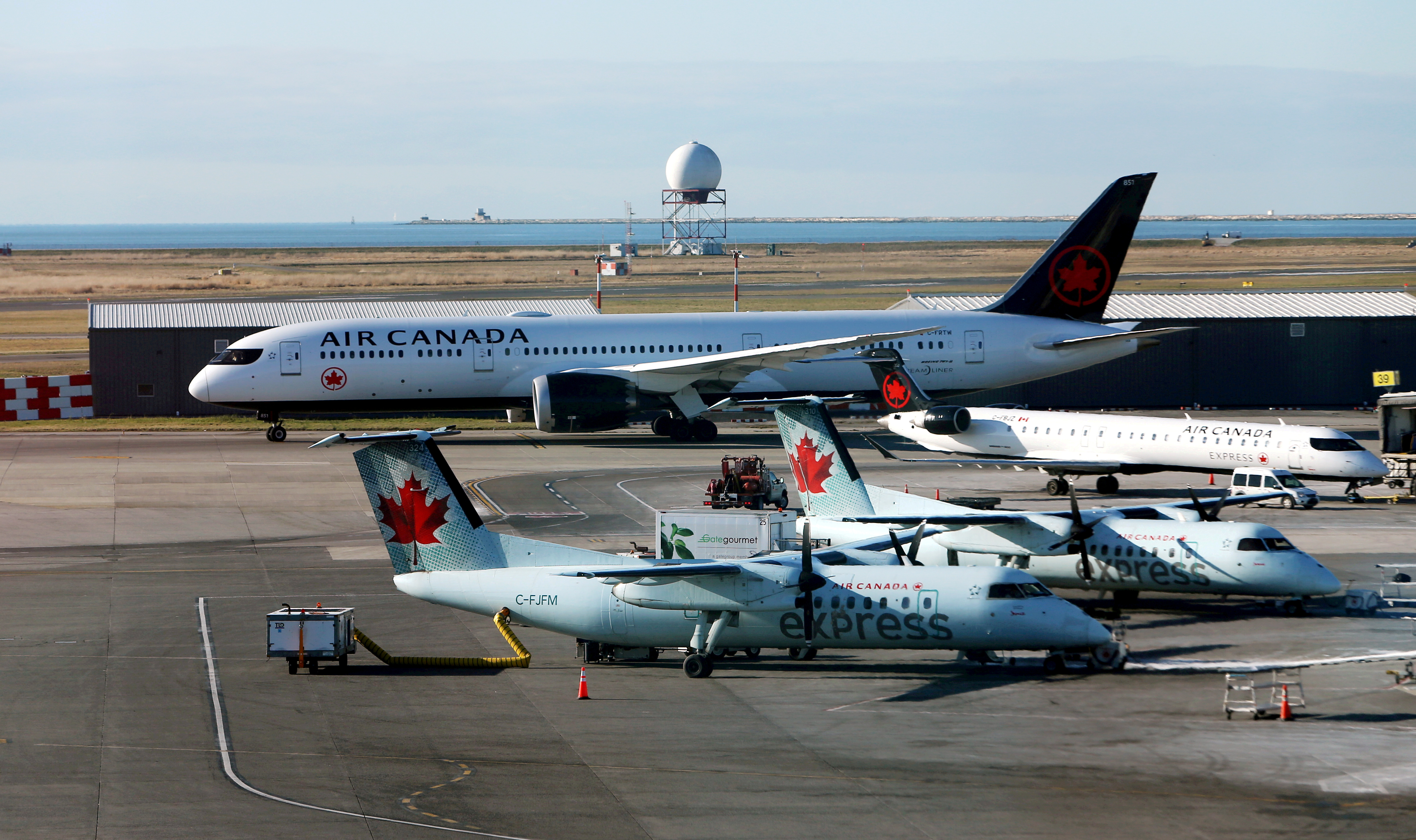 Air Canada airplanes are pictured at Vancouver's international airport in Richmond,