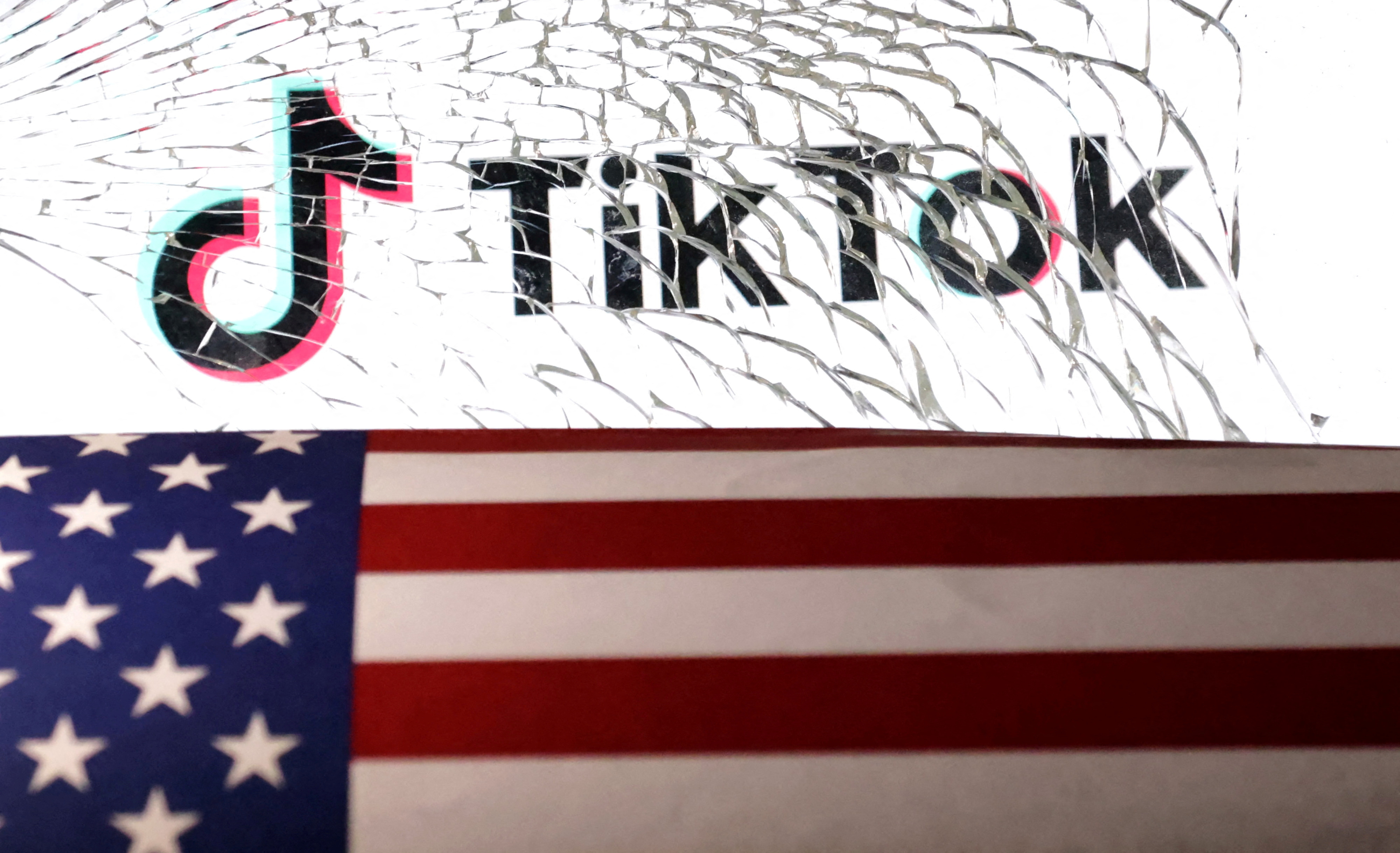 TikTok CEO expects to defeat US ban: 'We aren't going anywhere'