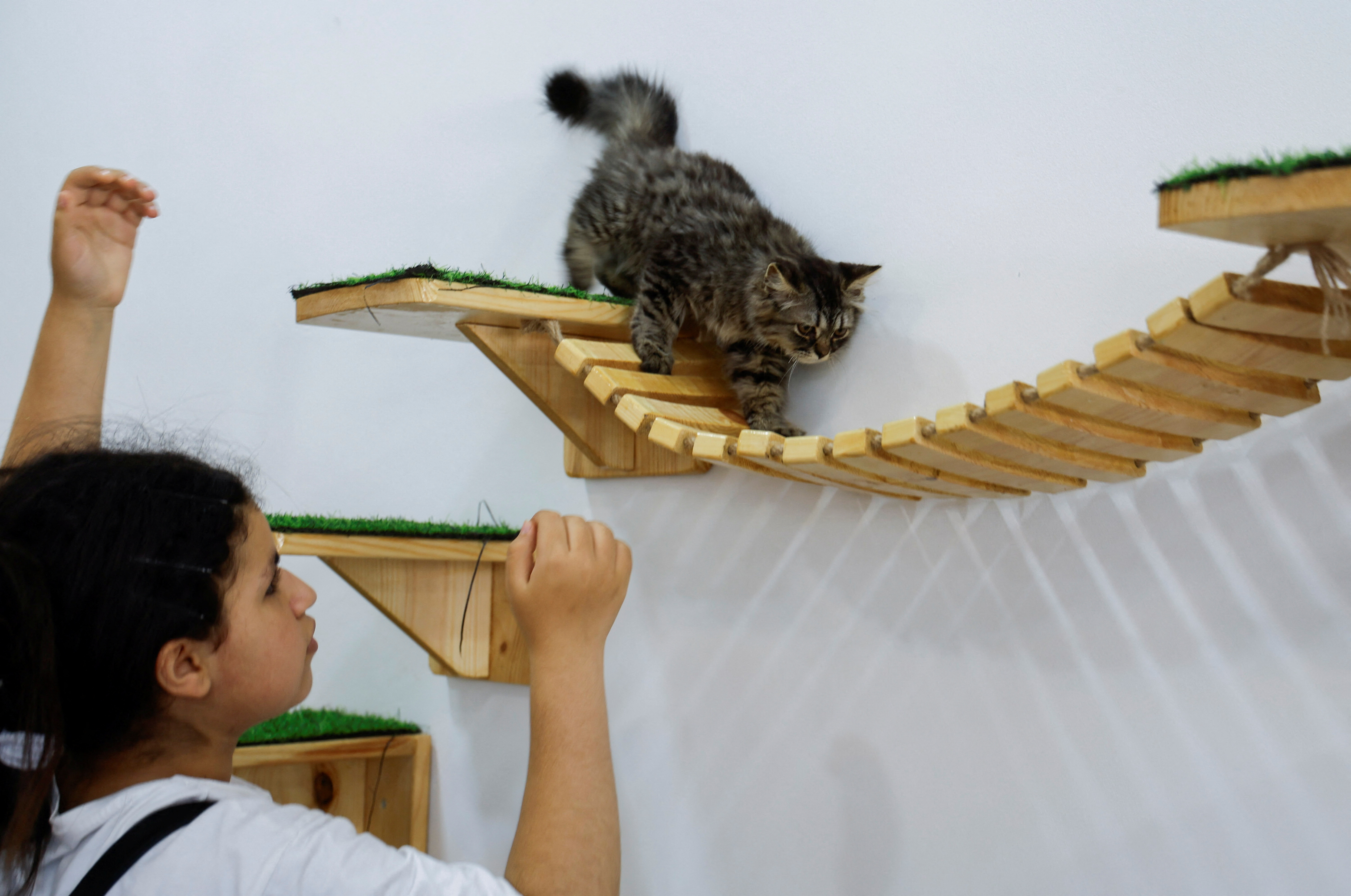 Hungarian Cat Cafe - Love Meow