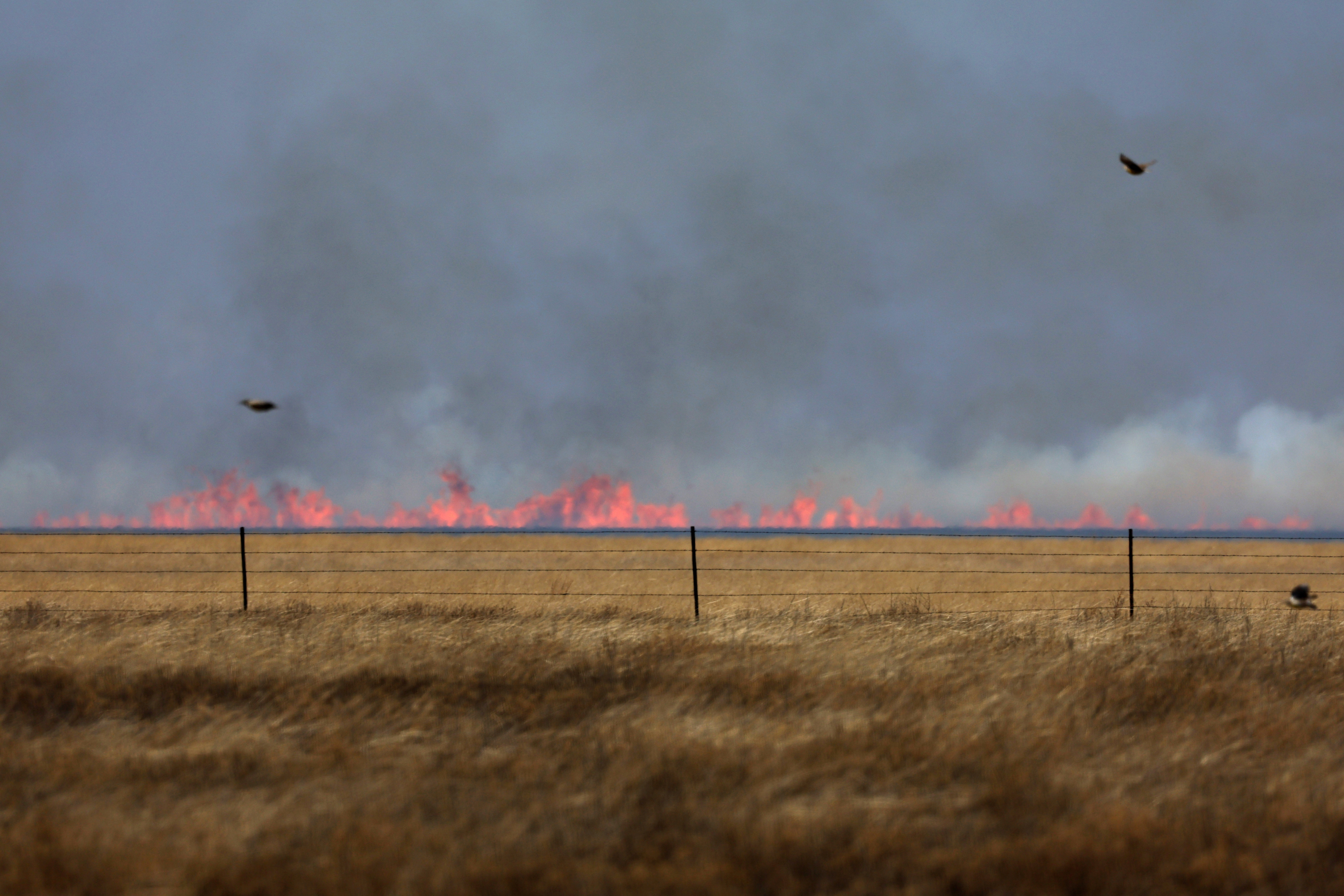 Wildfires kick up in high winds in the Texas panhandle, U.S.