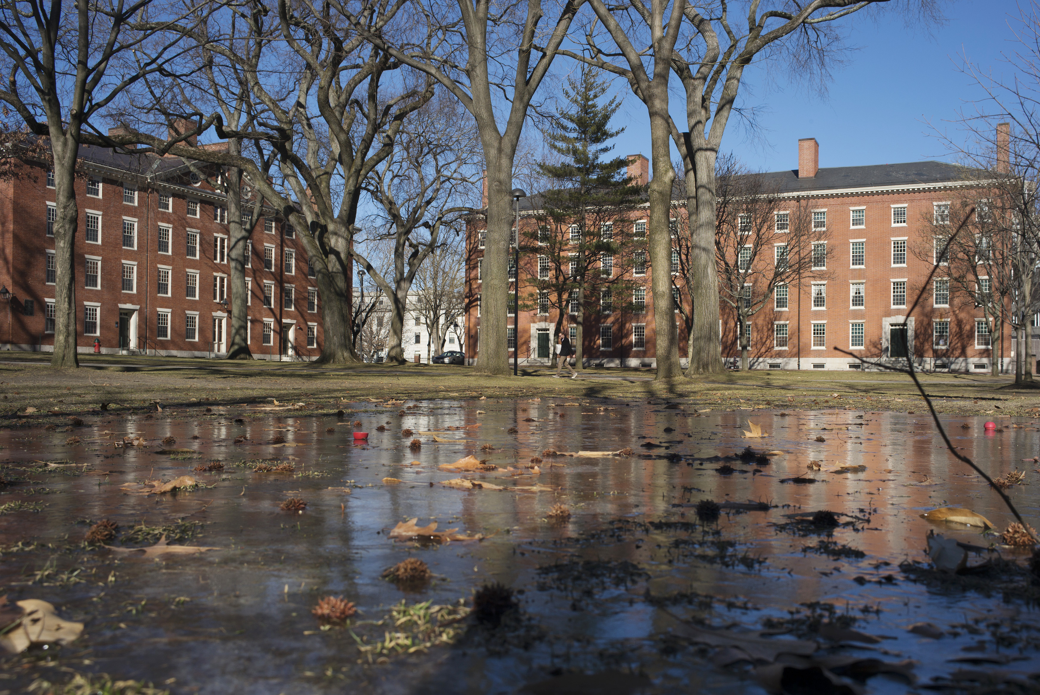 Buildings in Harvard Yard are reflected in frozen puddle at Harvard University in Cambridge