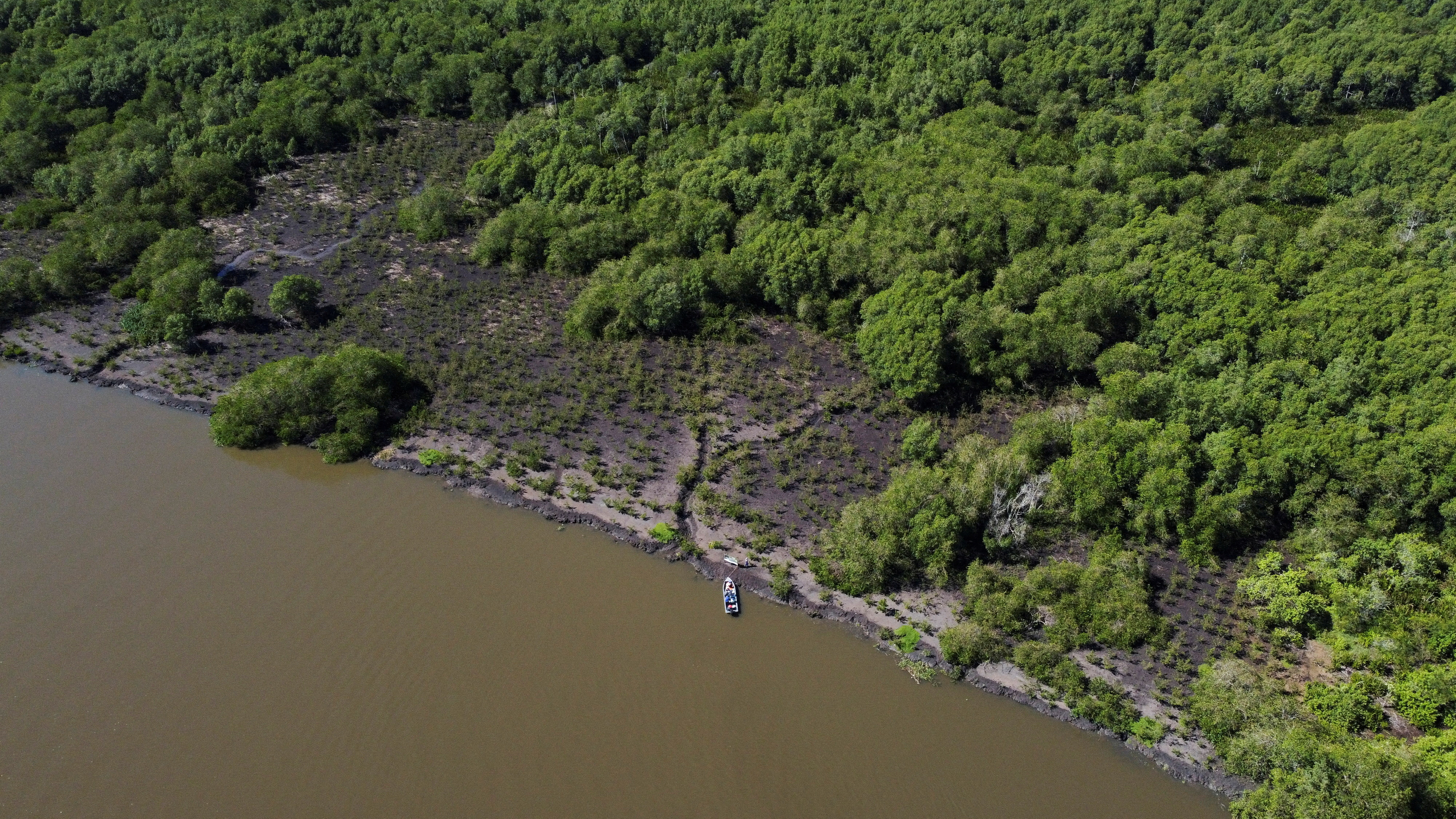 Proyecto Green Guanabara restauró alrededor de 12,5 hectáreas de manglares y plantó un total de alrededor de 30.500 árboles para preservar la biodiversidad marina y limpiar ríos, en Río de Janeiro